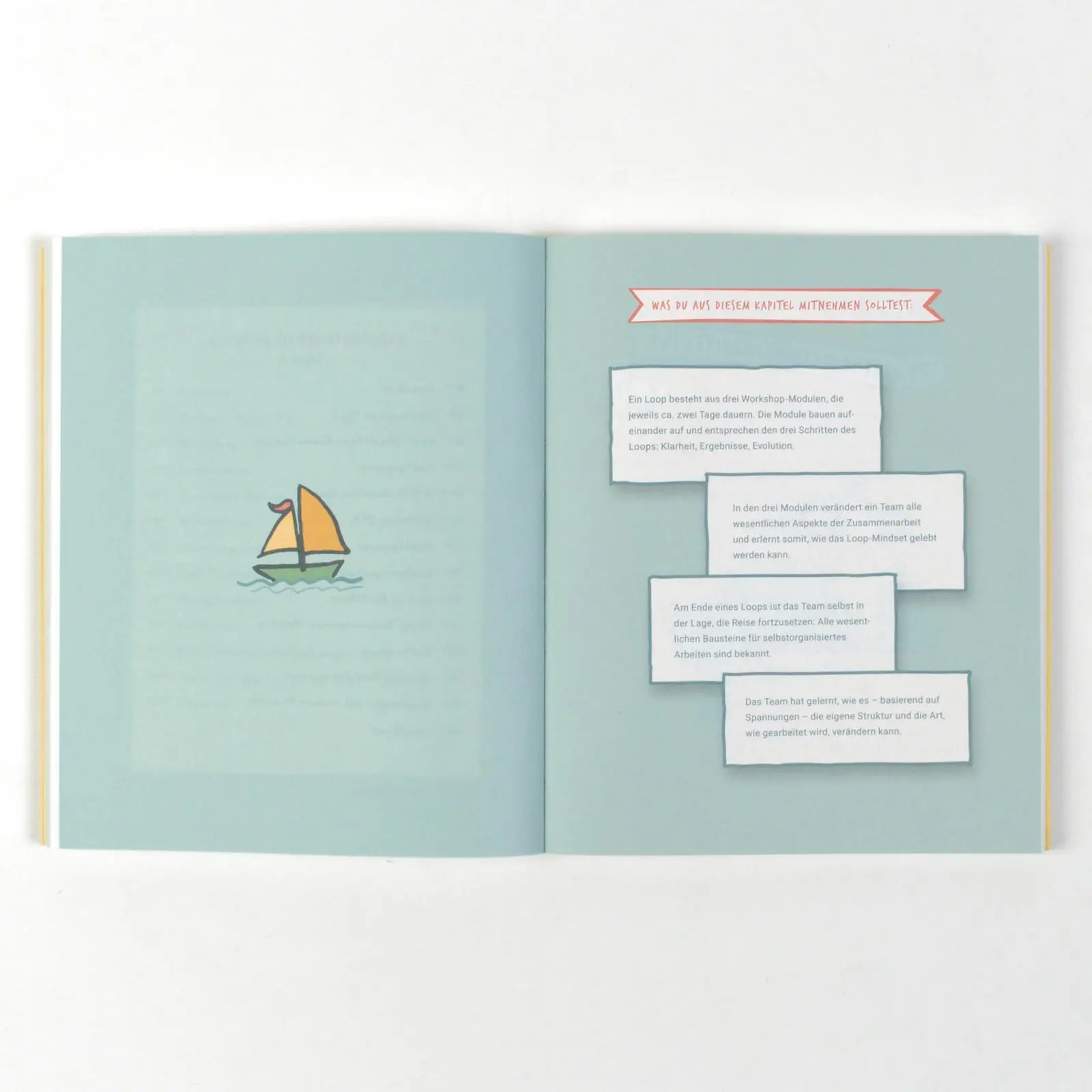 Bild: 9783593516219 | Der Loop-Approach | Sebastian Klein (u. a.) | Bundle | 1 Taschenbuch