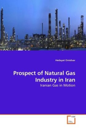 Prospect of Natural Gas Industry in Iran | Iranian Gas in Motion | Hedayat Omidvar | Taschenbuch | Englisch | VDM Verlag Dr. Müller | EAN 9783639216219 - Omidvar, Hedayat