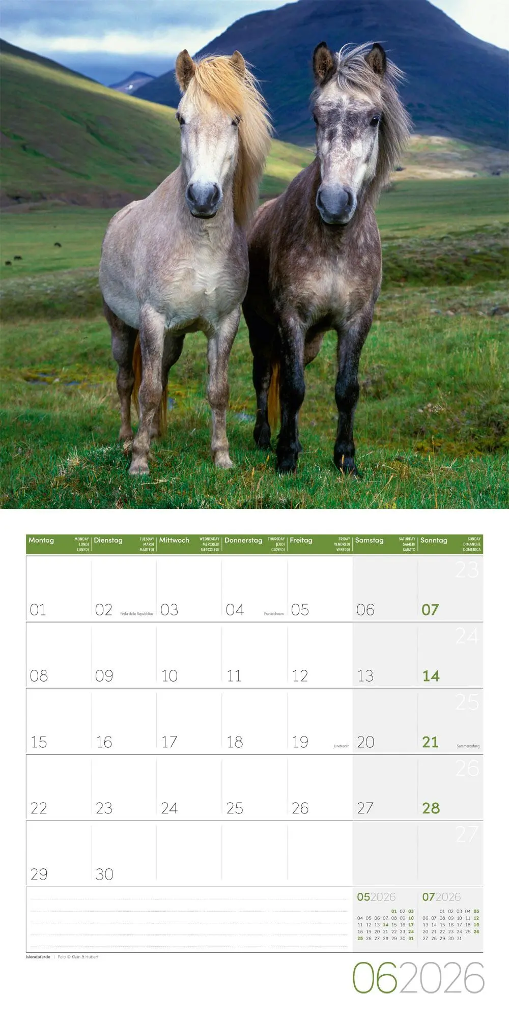 Bild: 9783838446219 | Pferde Kalender 2026 - 30x30 | Ackermann Kunstverlag GmbH | Kalender