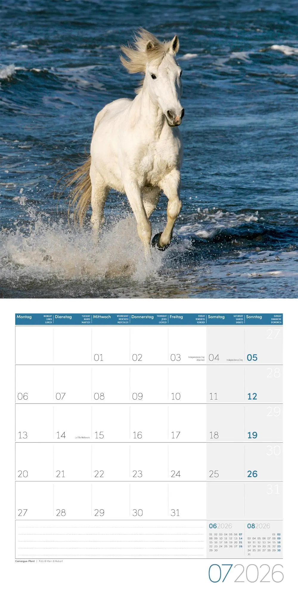 Bild: 9783838446219 | Pferde Kalender 2026 - 30x30 | Ackermann Kunstverlag GmbH | Kalender