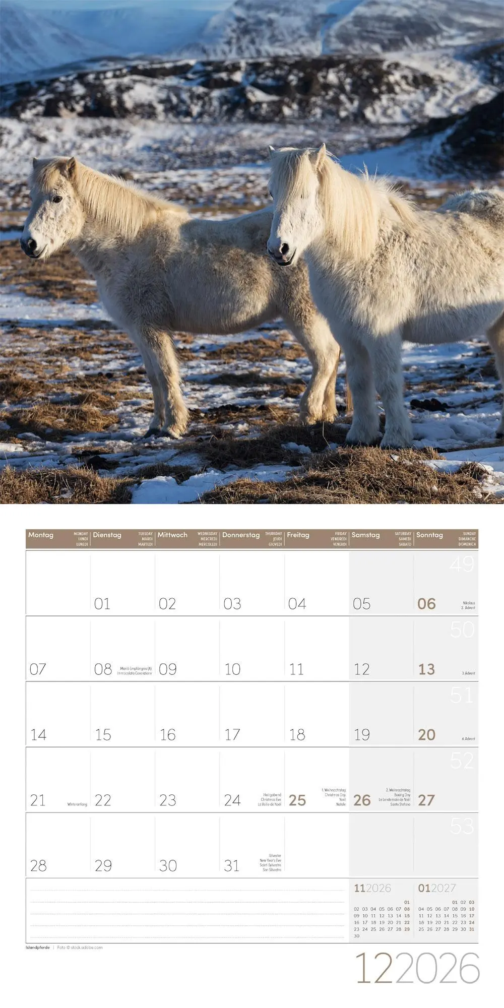 Bild: 9783838446219 | Pferde Kalender 2026 - 30x30 | Ackermann Kunstverlag GmbH | Kalender