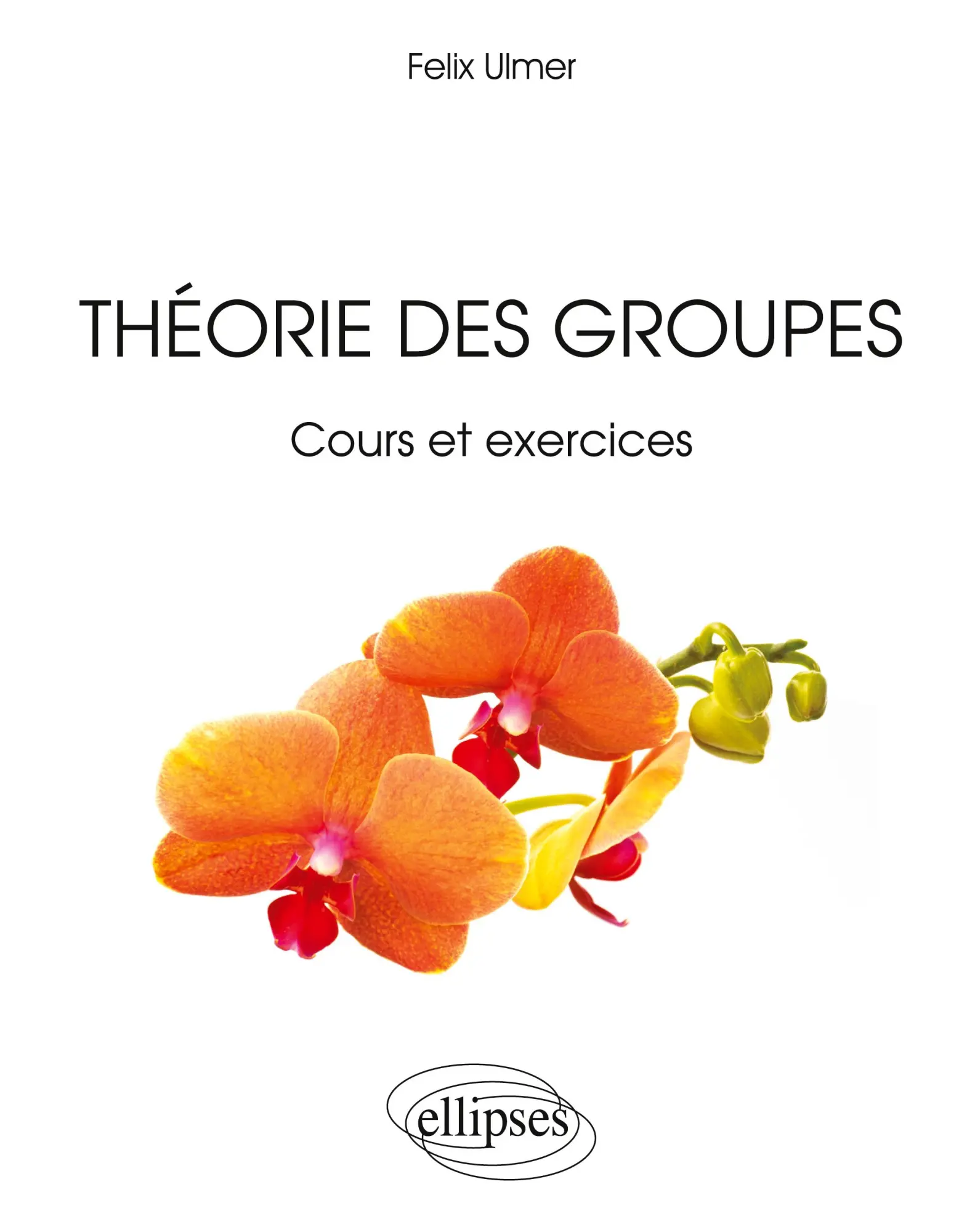 Cover: 9782729876319 | Théorie des groupes | Felix Ulmer | Taschenbuch | Französisch | 2012