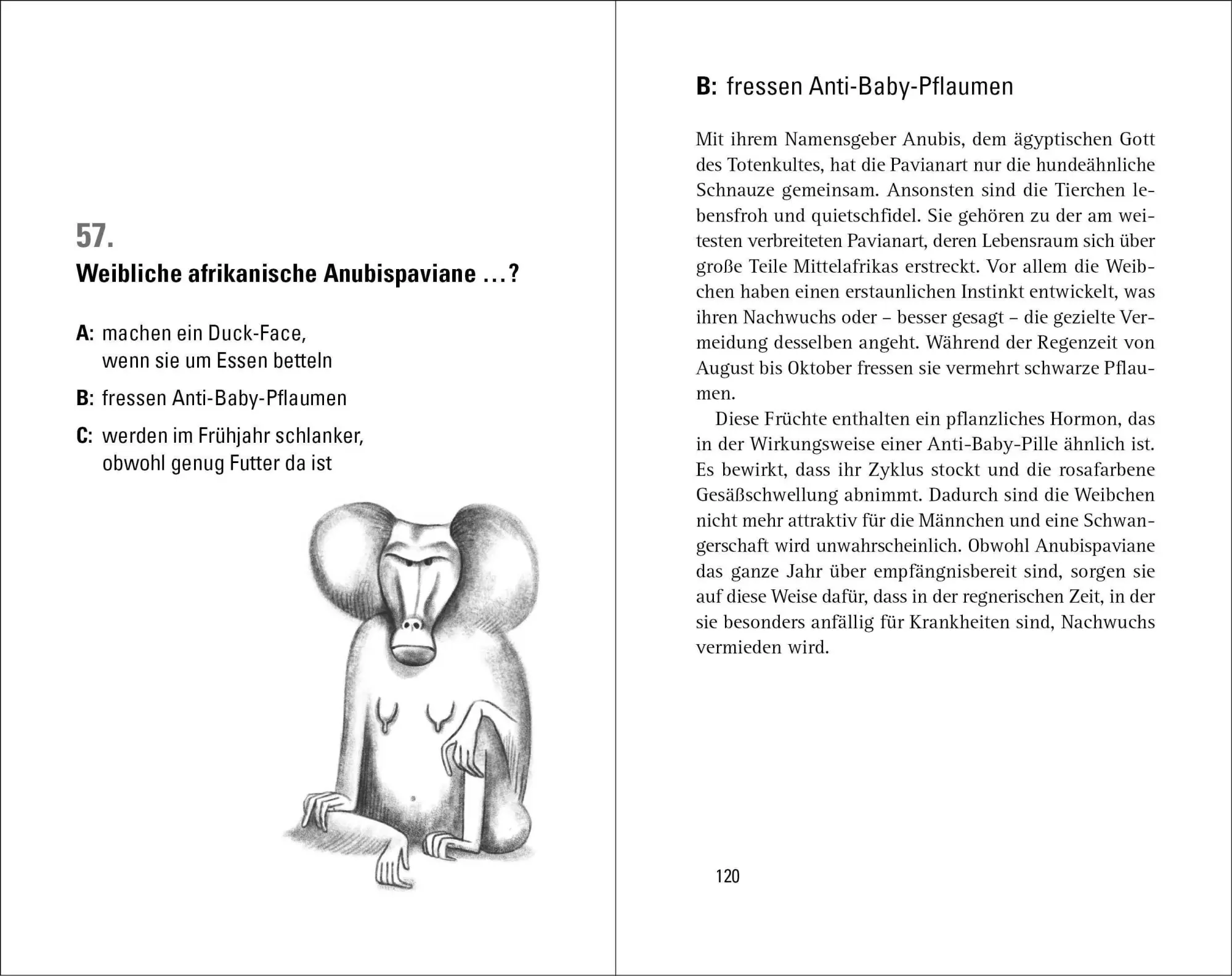 Bild: 9783453606319 | Wer weiß denn sowas? 5 | Heyne Verlag | Taschenbuch | 320 S. | Deutsch