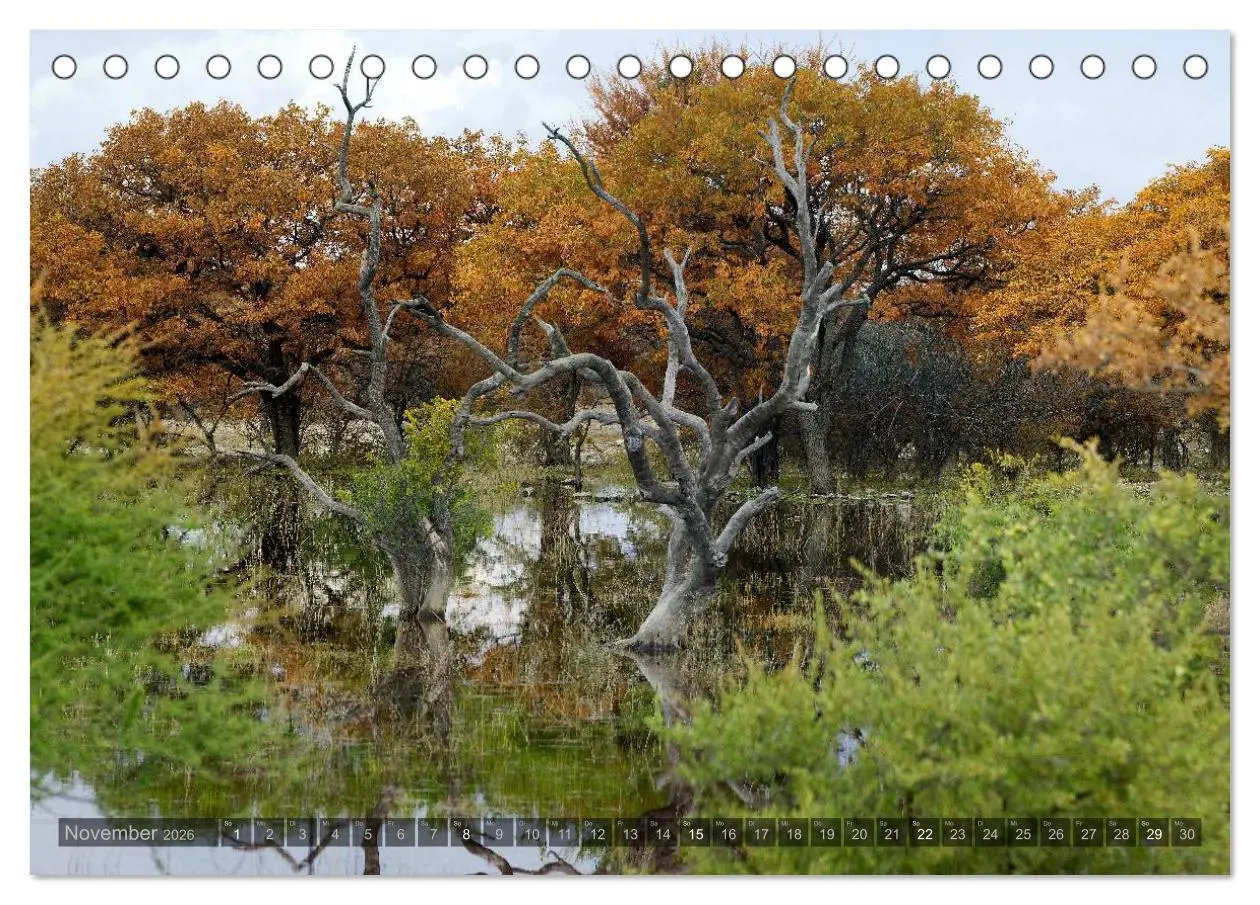 Bild: 9783516136319 | Namibia - Die Landschaft (Tischkalender 2026 DIN A5 quer), CALVENDO...