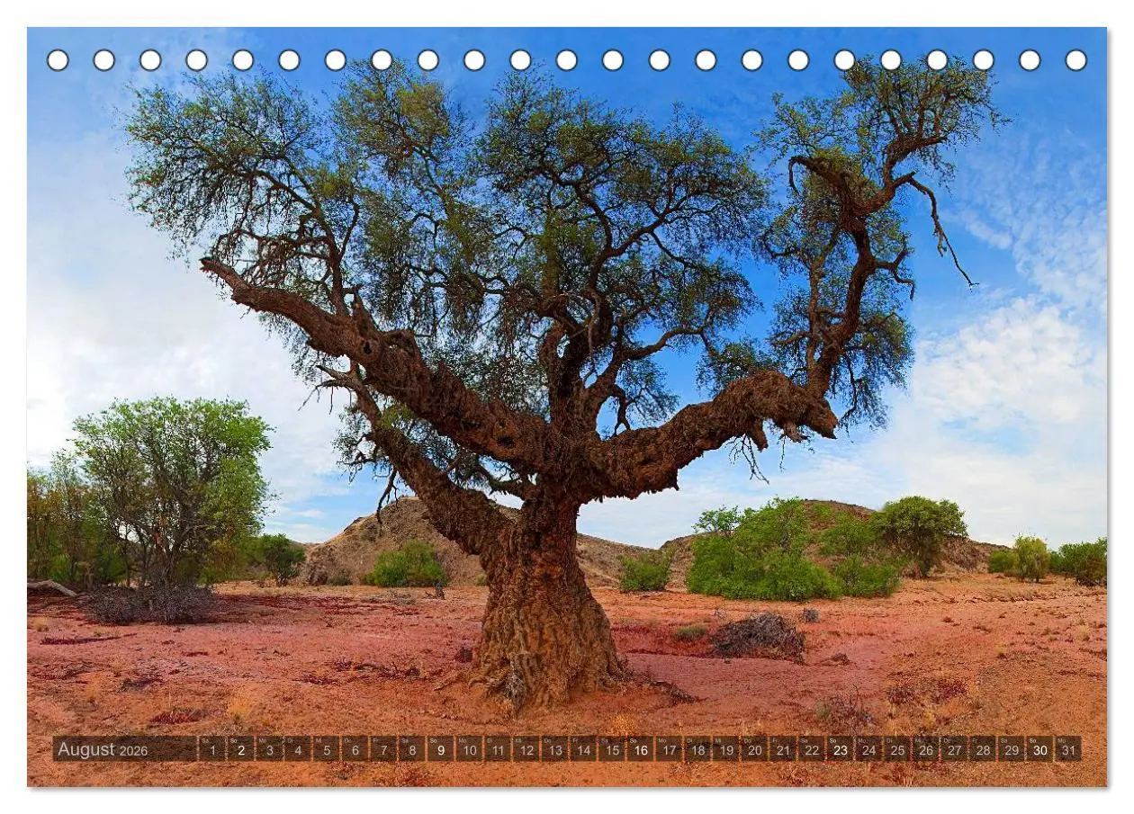 Bild: 9783516136319 | Namibia - Die Landschaft (Tischkalender 2026 DIN A5 quer), CALVENDO...