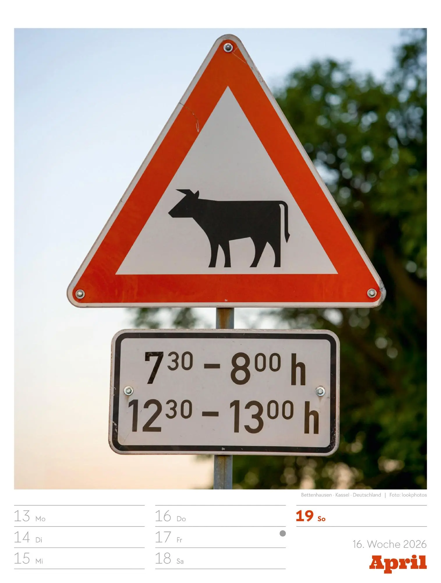 Bild: 9783838436319 | Signs - Schilder-Wochenplaner 2026 | Ackermann Kunstverlag GmbH | 2026