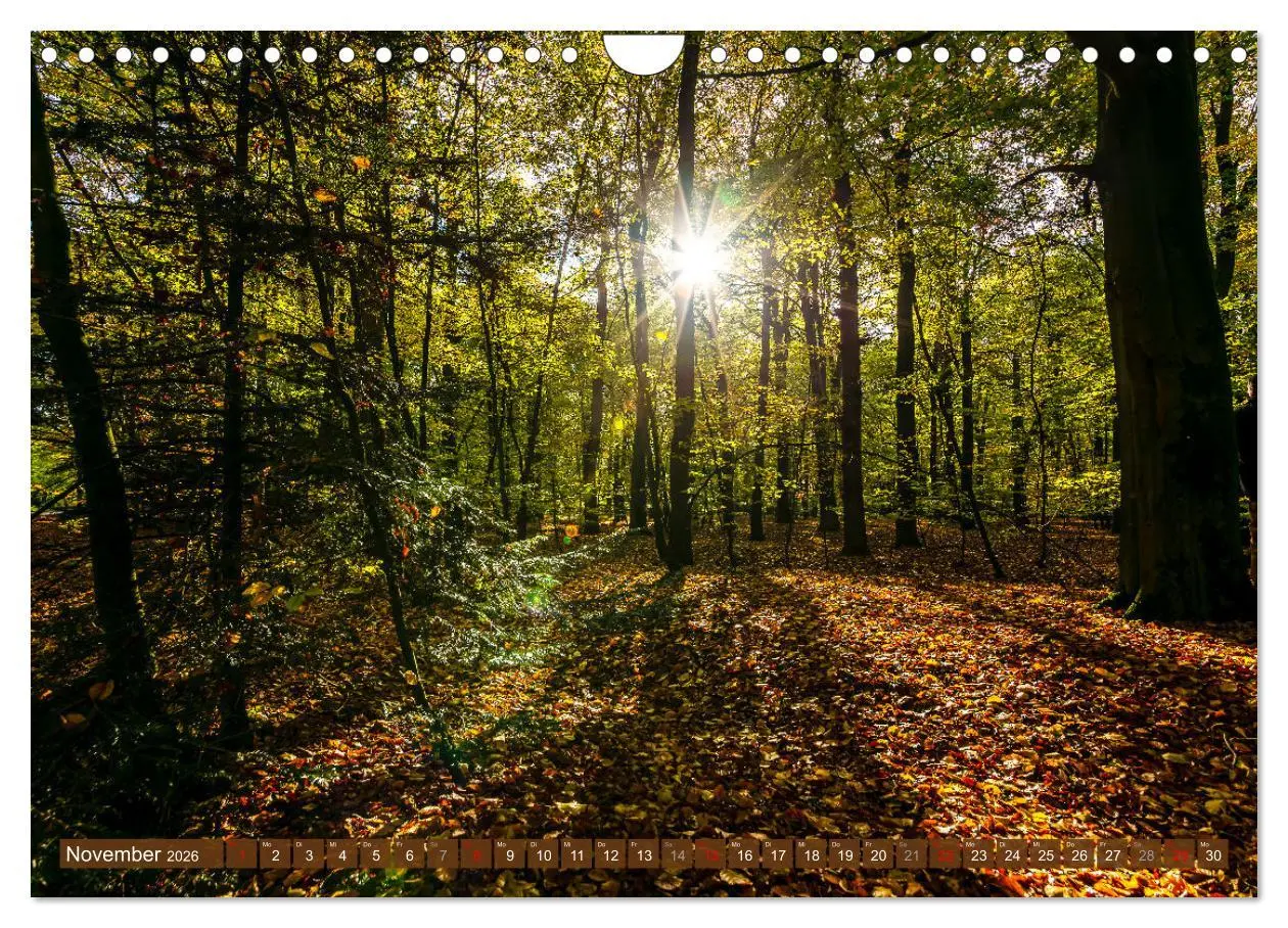 Bild: 9783457346419 | Moin Moormerland (Wandkalender 2026 DIN A4 quer), CALVENDO...