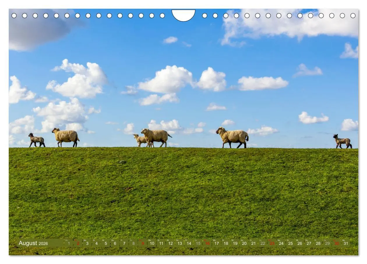 Bild: 9783457346419 | Moin Moormerland (Wandkalender 2026 DIN A4 quer), CALVENDO...