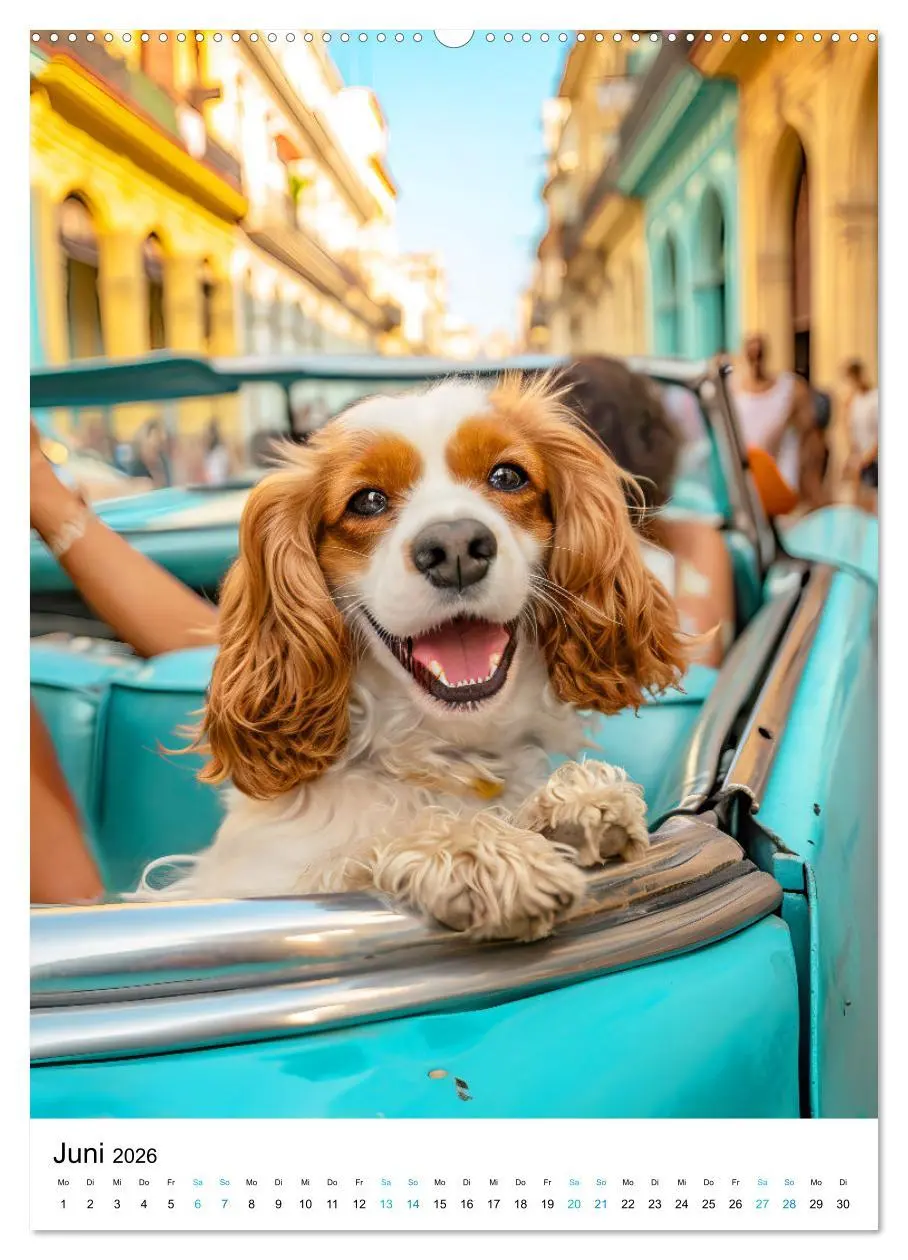 Bild: 9783516286519 | Cavalier King Charles Spaniel - Lustige Weltenreise im Selfie-Modus...
