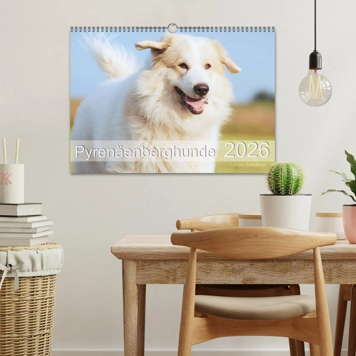 Bild: 9783457636619 | Pyrenäenberghunde (Wandkalender 2026 DIN A3 quer), CALVENDO...
