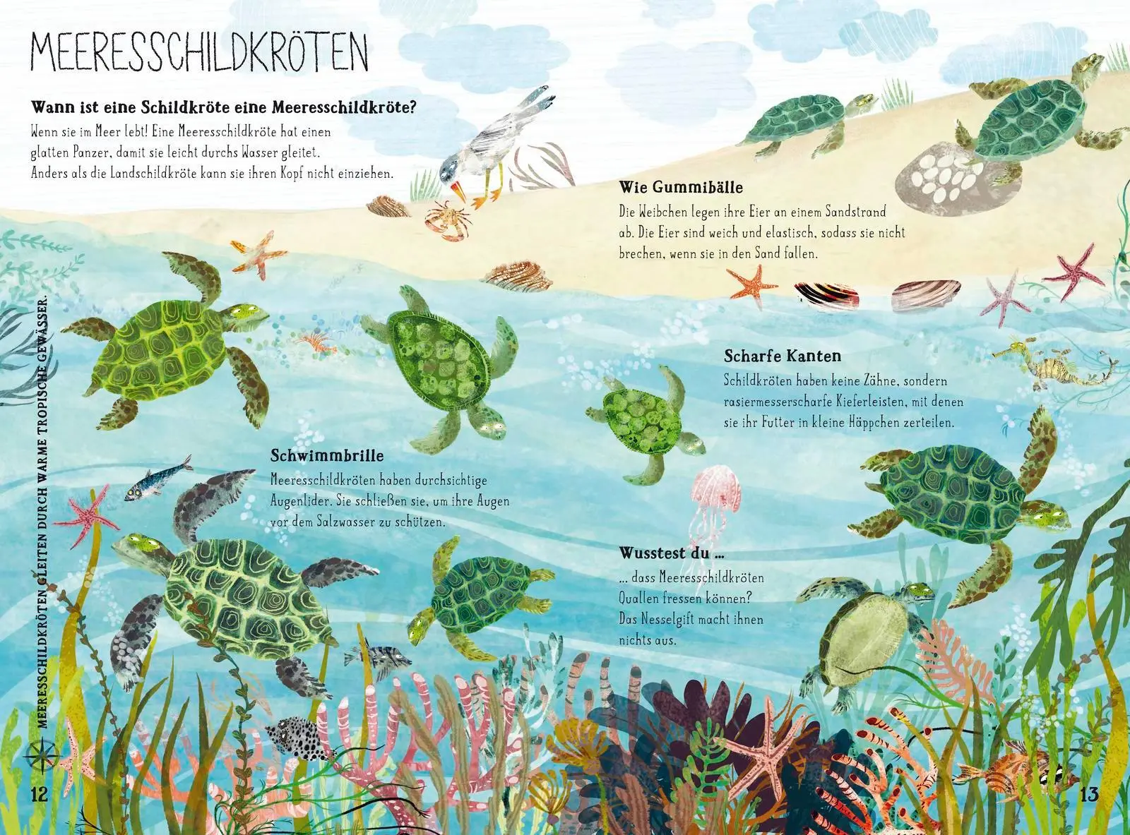 Bild: 9783737356619 | Was lebt im großen tiefen Blau? | Yuval Zommer | Buch | 64 S. | 2019