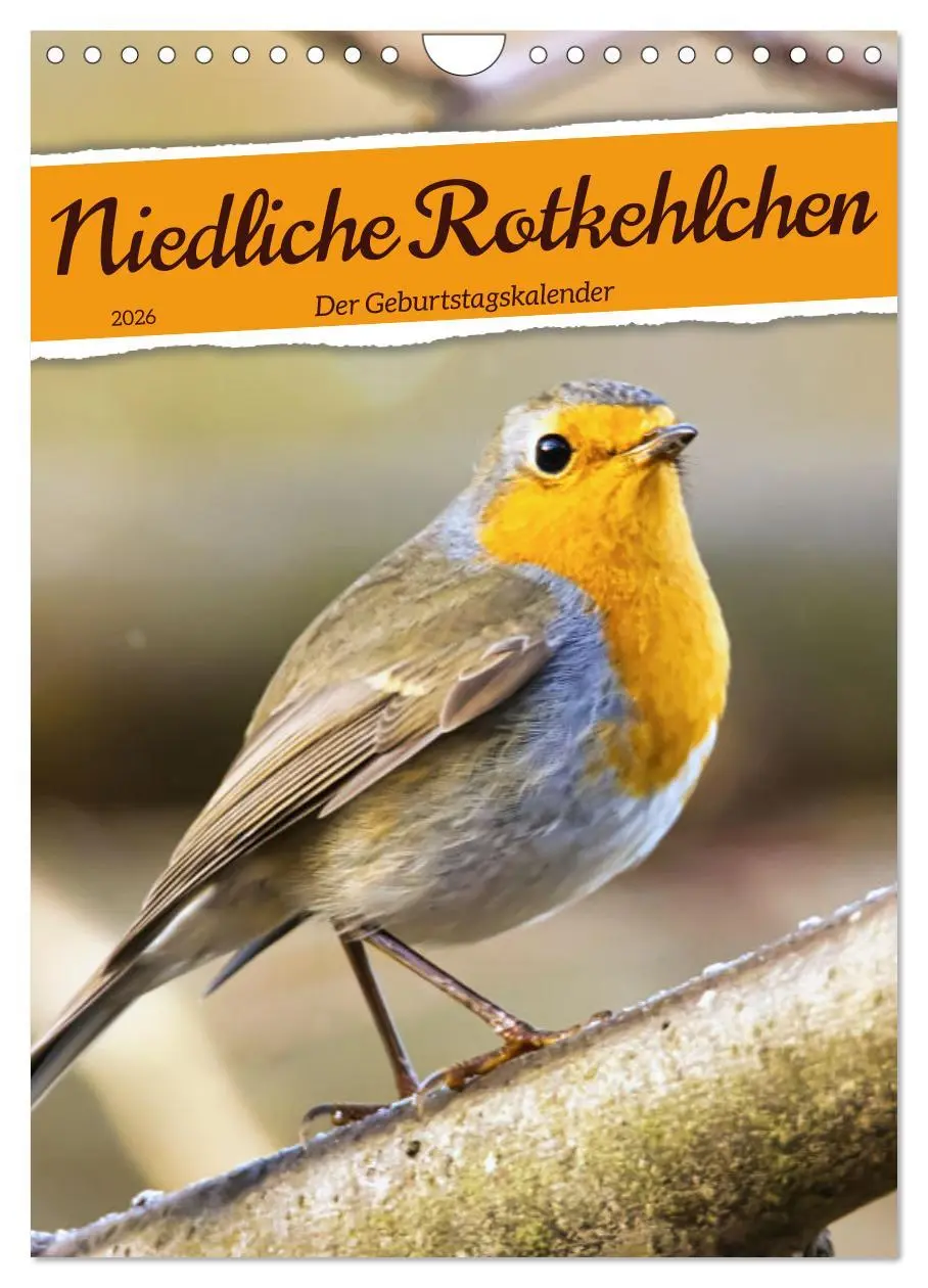 Cover: 9783516326819 | Niedliche Rotkehlchen (Wandkalender 2026 DIN A4 hoch), CALVENDO...