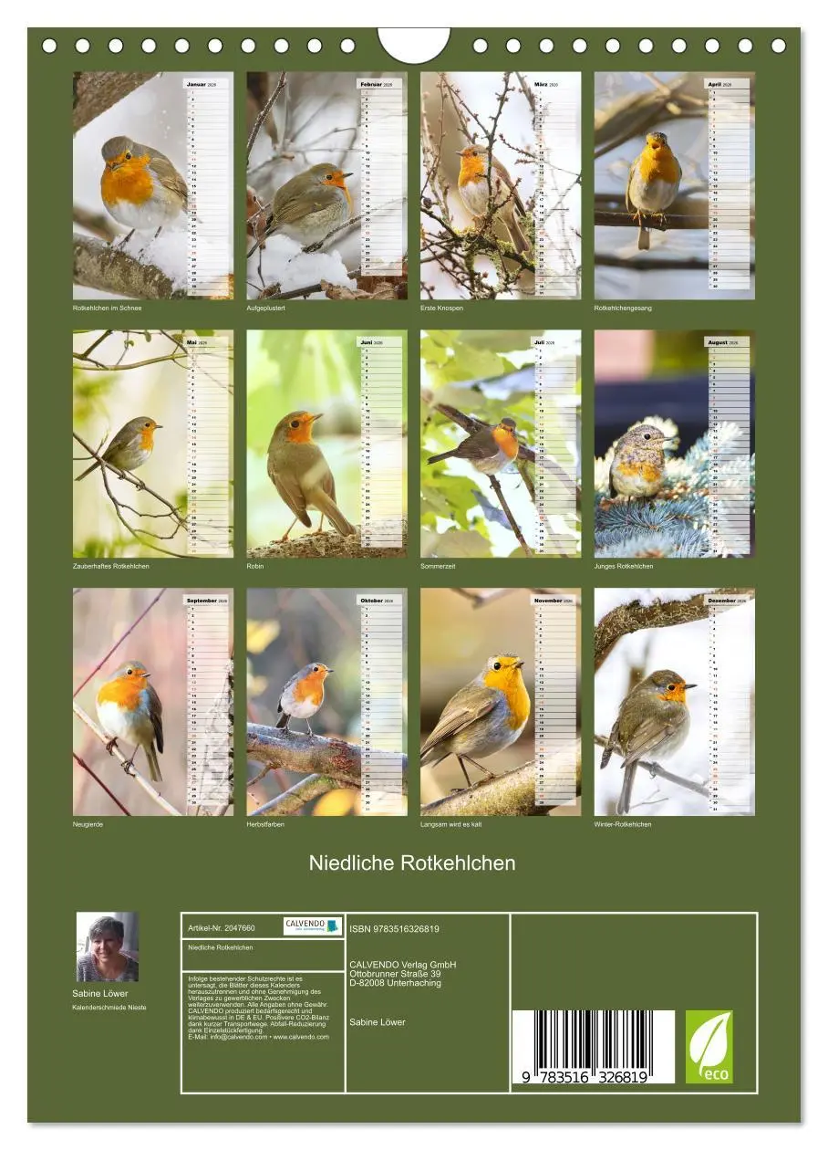 Bild: 9783516326819 | Niedliche Rotkehlchen (Wandkalender 2026 DIN A4 hoch), CALVENDO...