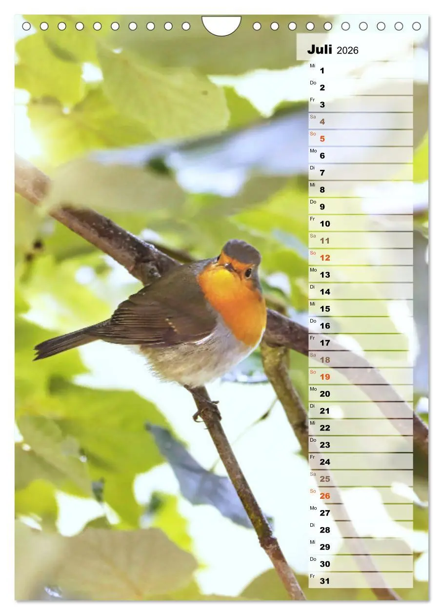 Bild: 9783516326819 | Niedliche Rotkehlchen (Wandkalender 2026 DIN A4 hoch), CALVENDO...