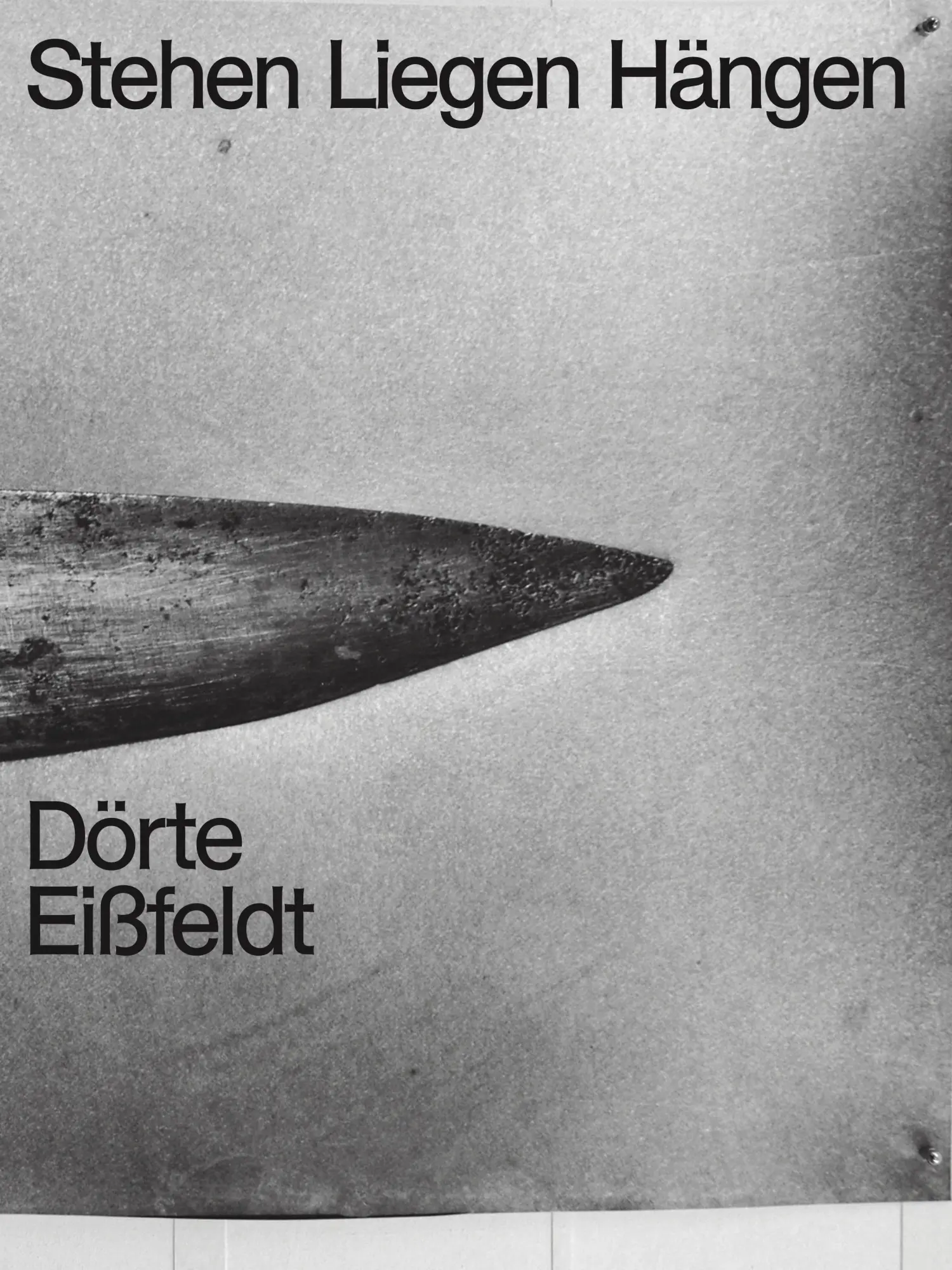 Cover: 9783954766819 | Stehen, Liegen, Hängen | Dörte Eißfeldt | Dörte Eißfeldt | Taschenbuch