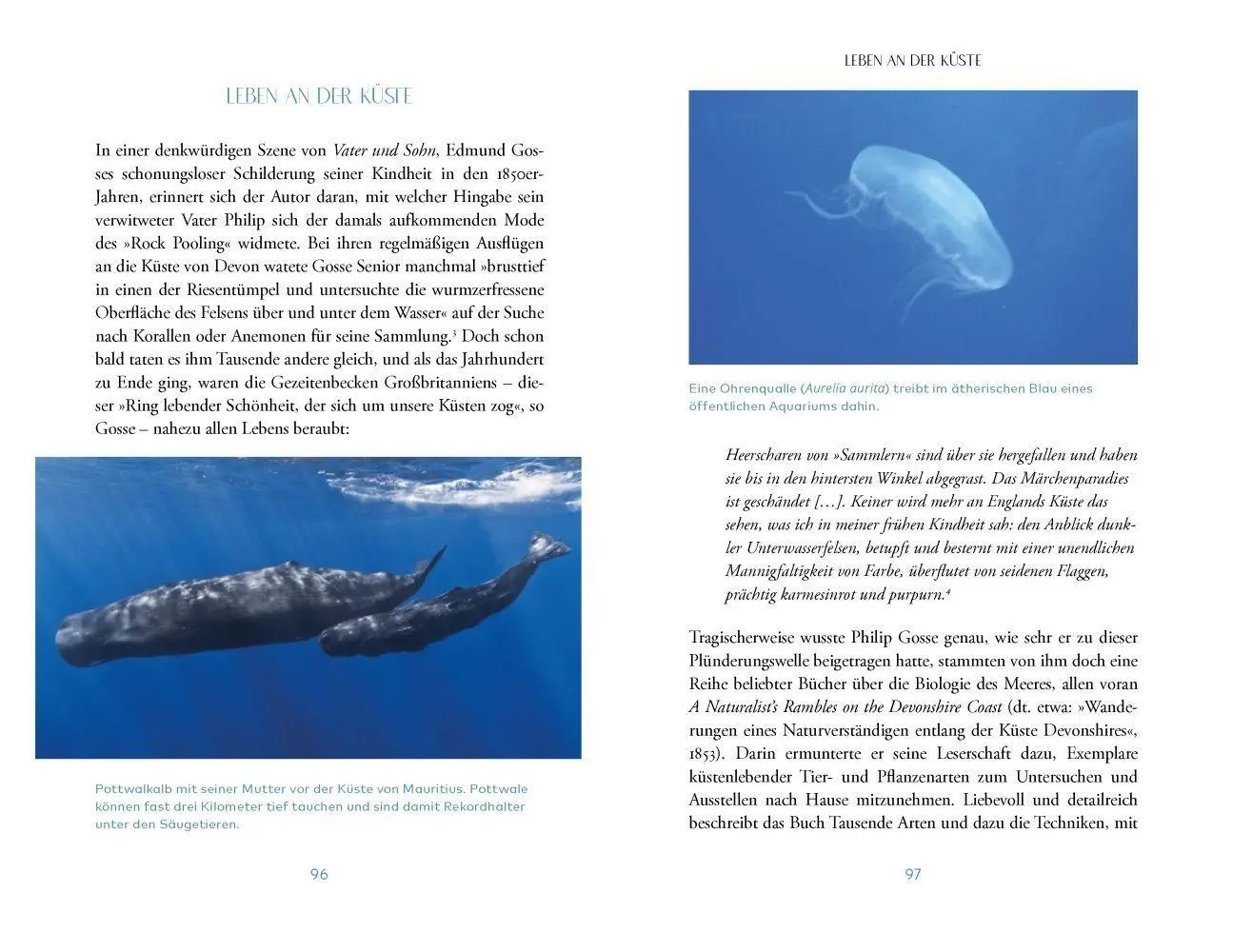 Bild: 9783957286819 | Das Meer | Richard Hamblyn | Buch | 272 S. | Deutsch | 2022