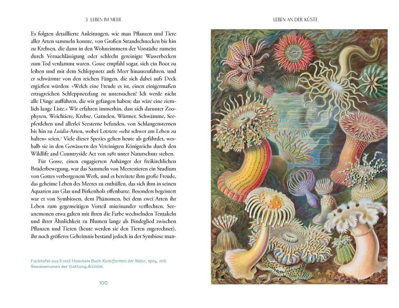 Bild: 9783957286819 | Das Meer | Richard Hamblyn | Buch | 272 S. | Deutsch | 2022