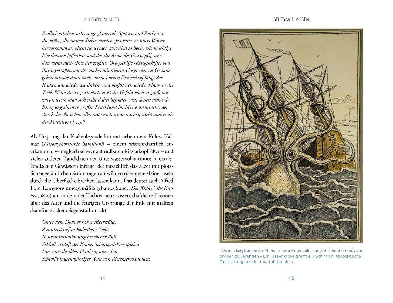 Bild: 9783957286819 | Das Meer | Richard Hamblyn | Buch | 272 S. | Deutsch | 2022