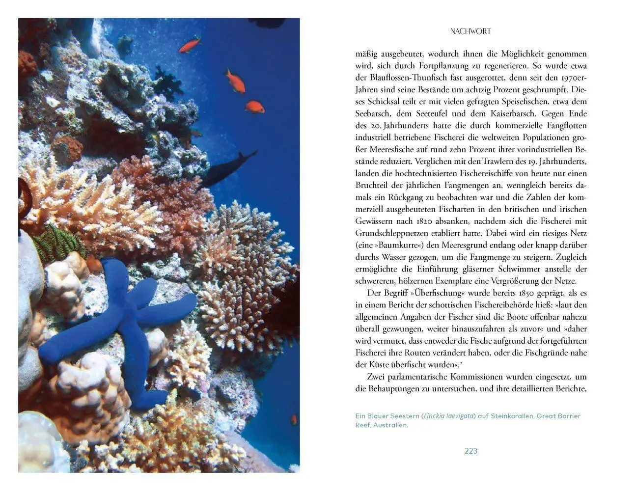 Bild: 9783957286819 | Das Meer | Richard Hamblyn | Buch | 272 S. | Deutsch | 2022