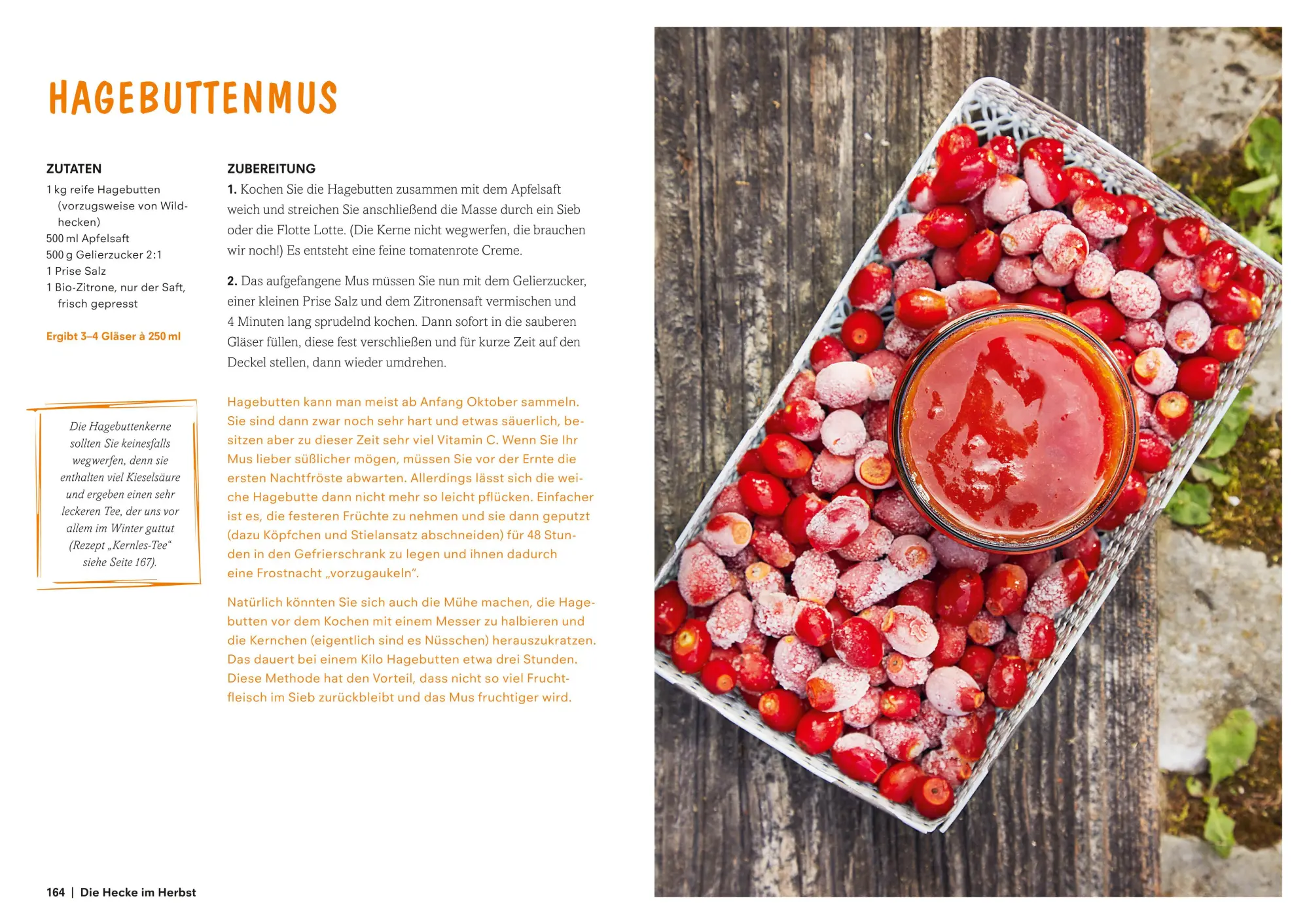 Bild: 9783517096919 | Heimat im Glas | Daniela Wattenbach | Buch | 208 S. | Deutsch | 2018