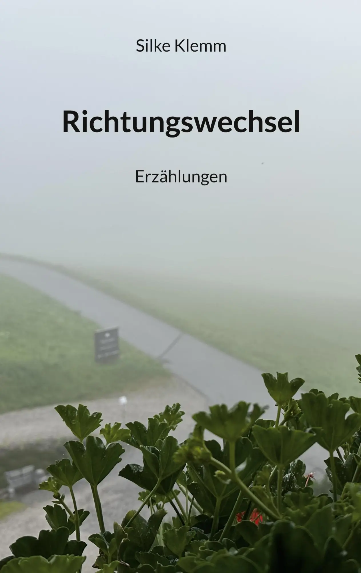 Cover: 9783696366919 | Richtungswechsel | Erzählungen | Silke Klemm | Taschenbuch | 192 S.