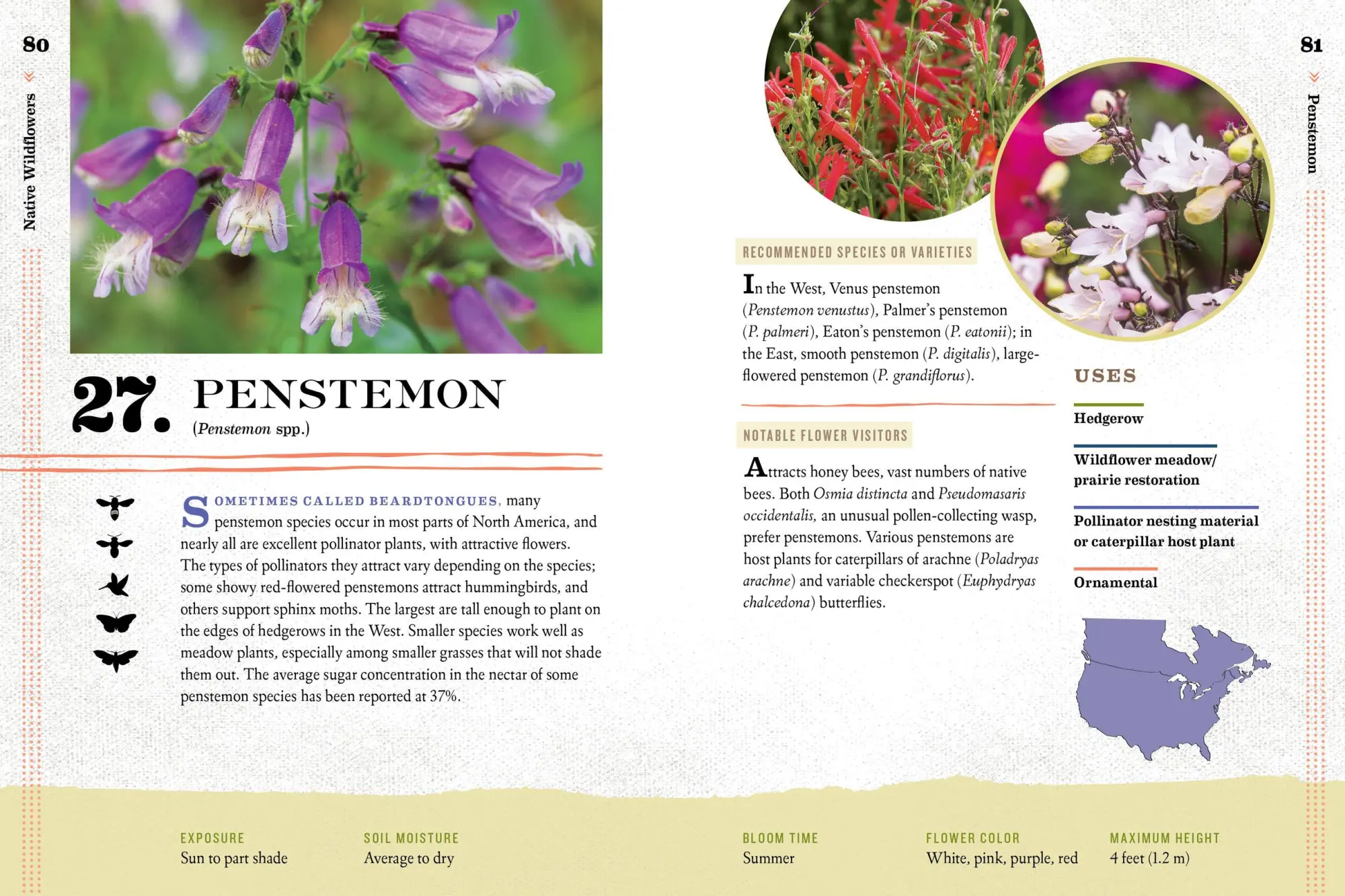 Bild: 9781612127019 | 100 Plants to Feed the Bees | The Xerces Society | Taschenbuch | 2016