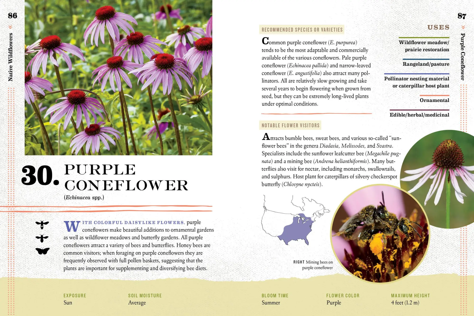 Bild: 9781612127019 | 100 Plants to Feed the Bees | The Xerces Society | Taschenbuch | 2016
