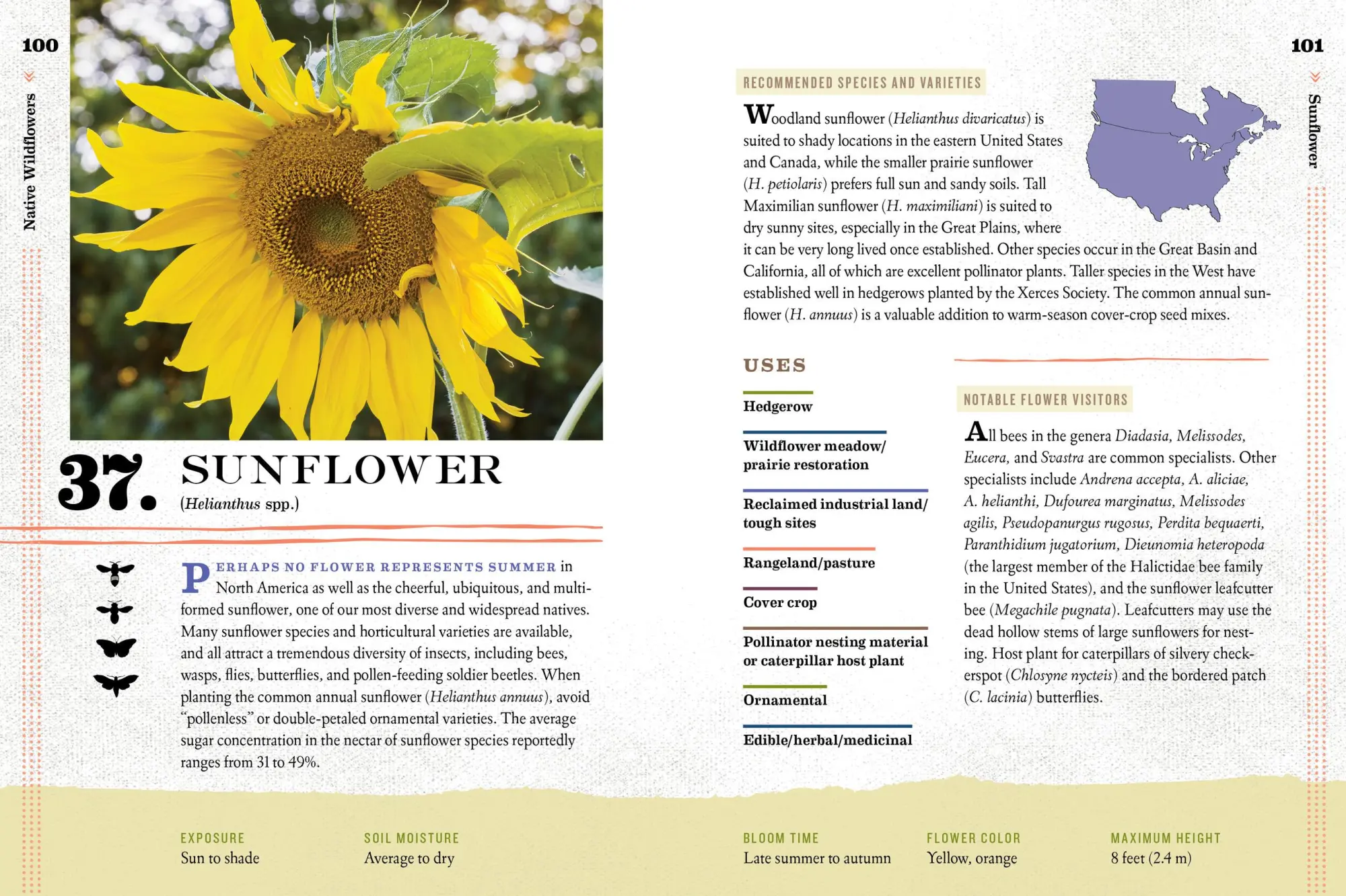 Bild: 9781612127019 | 100 Plants to Feed the Bees | The Xerces Society | Taschenbuch | 2016
