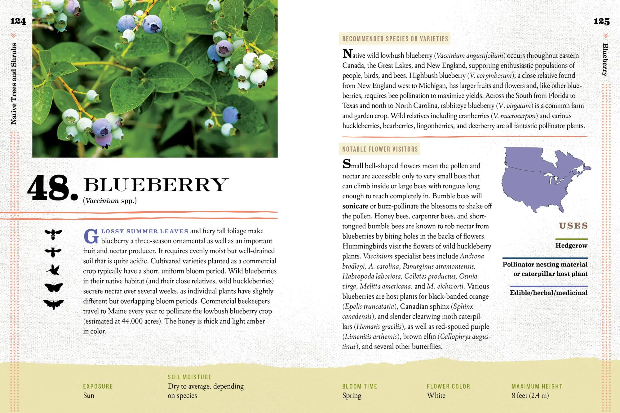 Bild: 9781612127019 | 100 Plants to Feed the Bees | The Xerces Society | Taschenbuch | 2016
