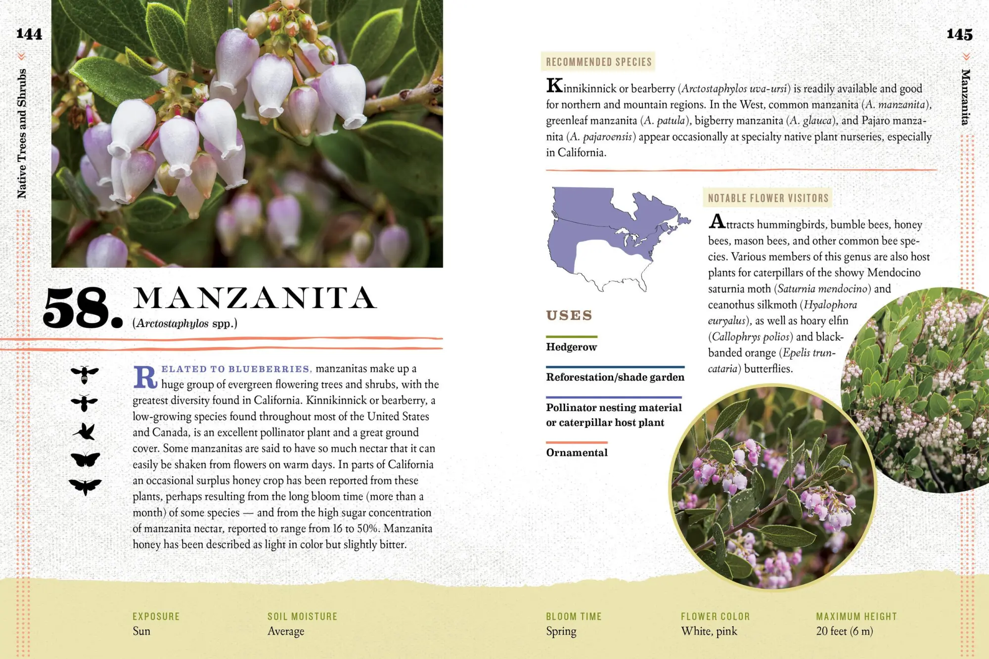 Bild: 9781612127019 | 100 Plants to Feed the Bees | The Xerces Society | Taschenbuch | 2016