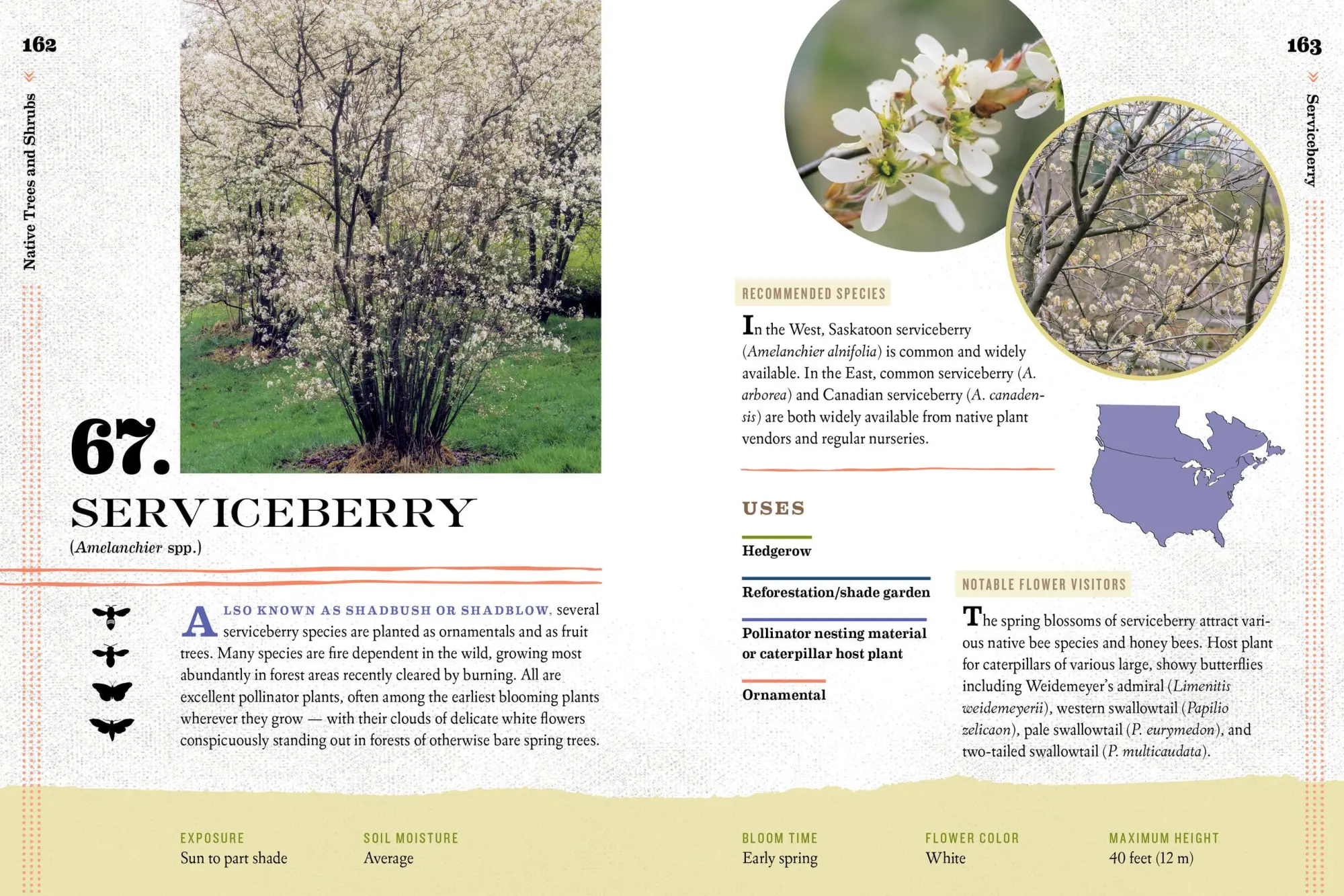 Bild: 9781612127019 | 100 Plants to Feed the Bees | The Xerces Society | Taschenbuch | 2016