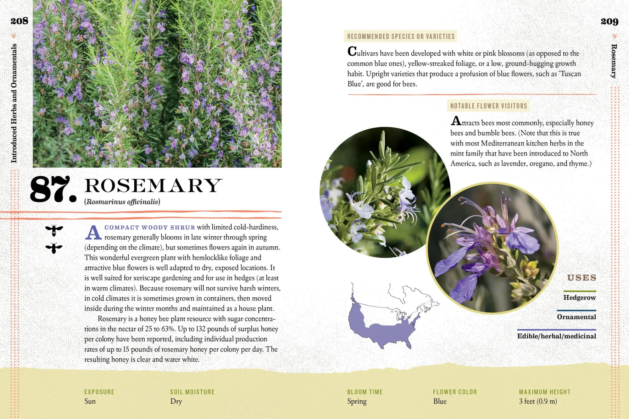 Bild: 9781612127019 | 100 Plants to Feed the Bees | The Xerces Society | Taschenbuch | 2016