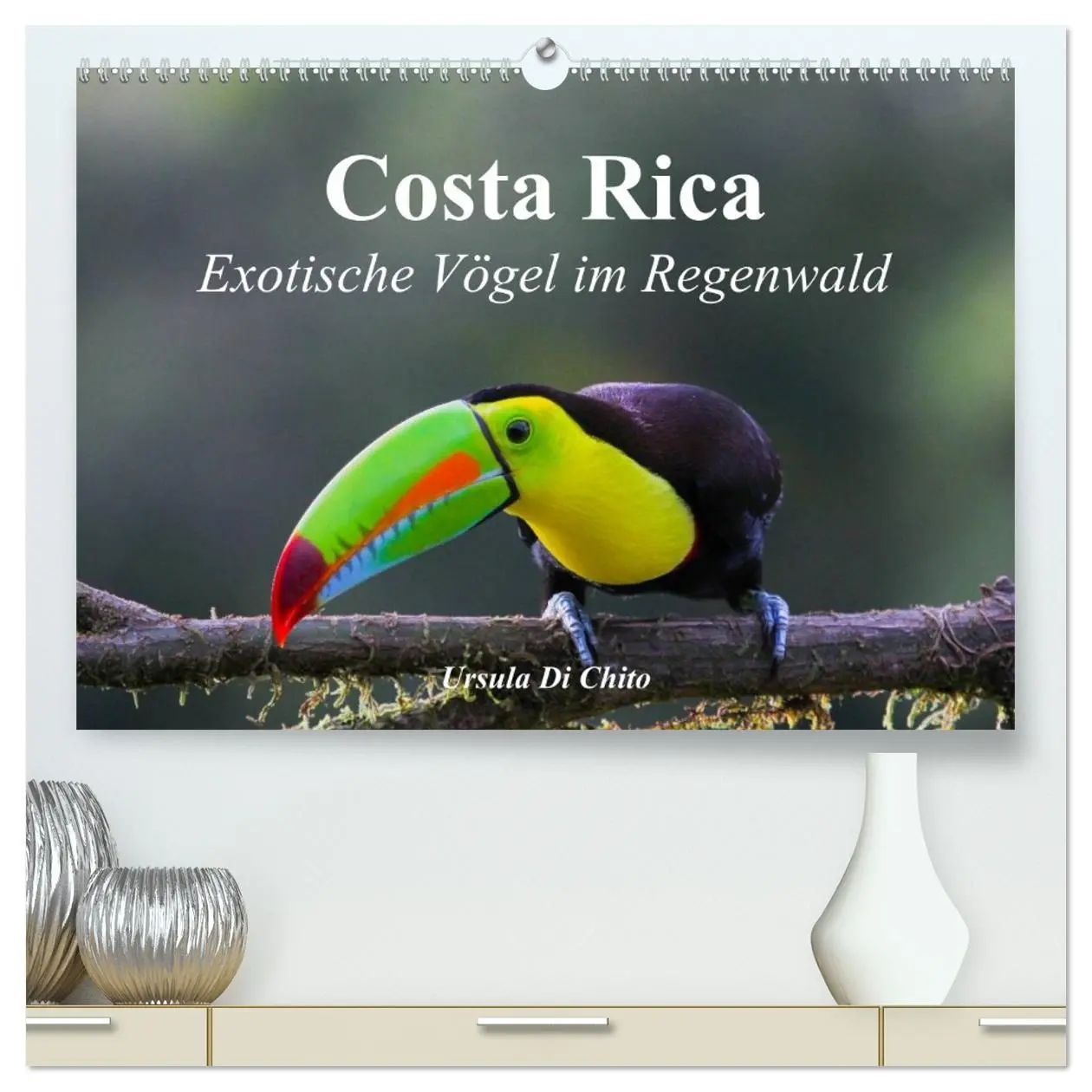 Cover: 9783516067019 | Costa Rica - Exotische Vögel im Regenwald (hochwertiger Premium...