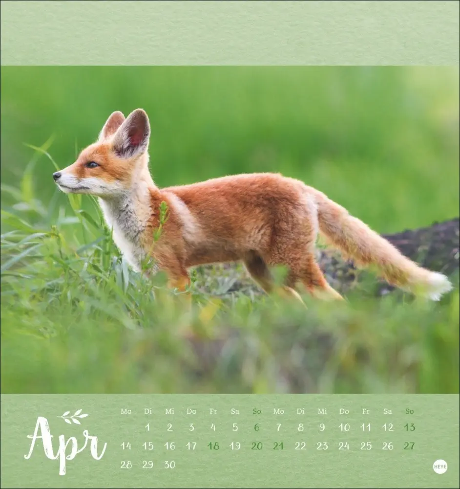 Bild: 9783756407019 | Vadim Trunov: Märchenhaftes Waldleben Postkartenkalender 2025 | Trunov