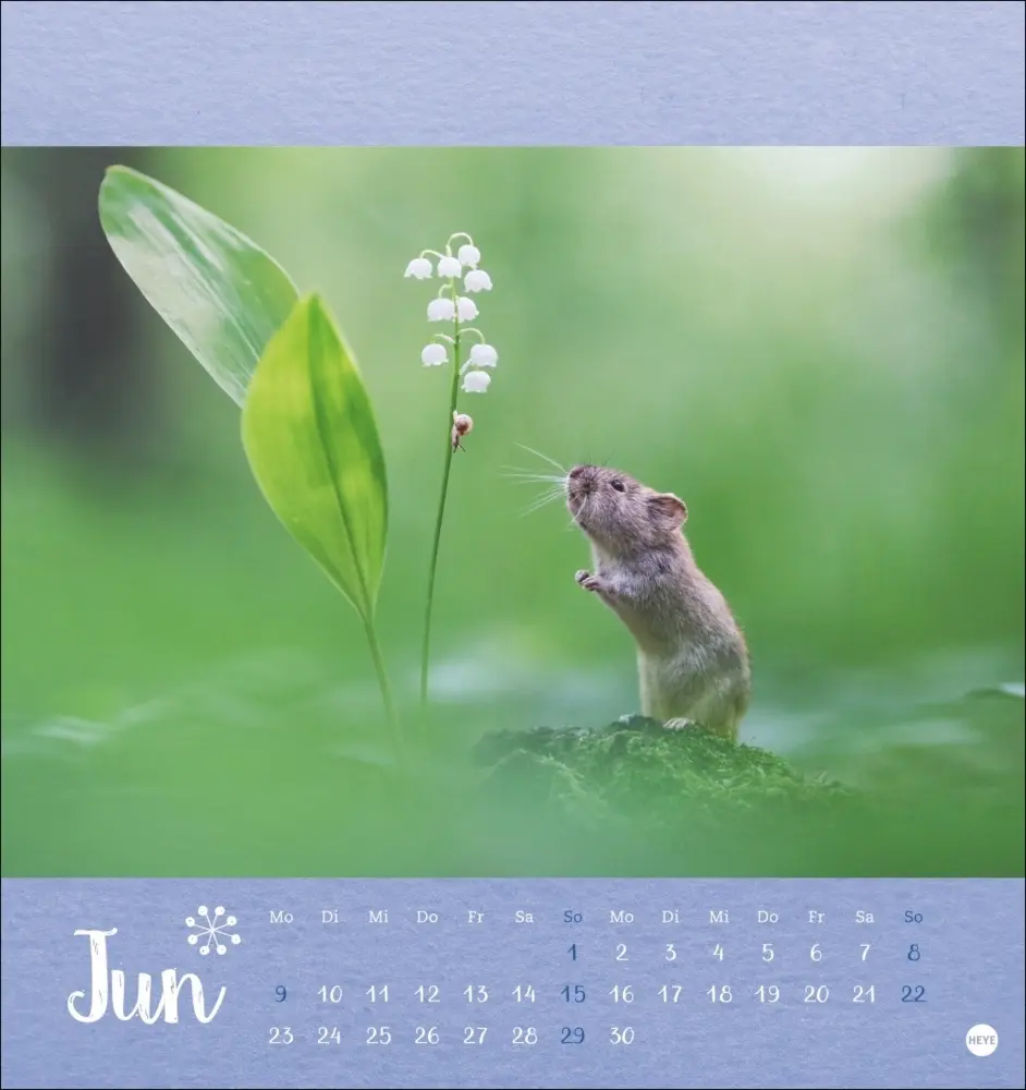 Bild: 9783756407019 | Vadim Trunov: Märchenhaftes Waldleben Postkartenkalender 2025 | Trunov