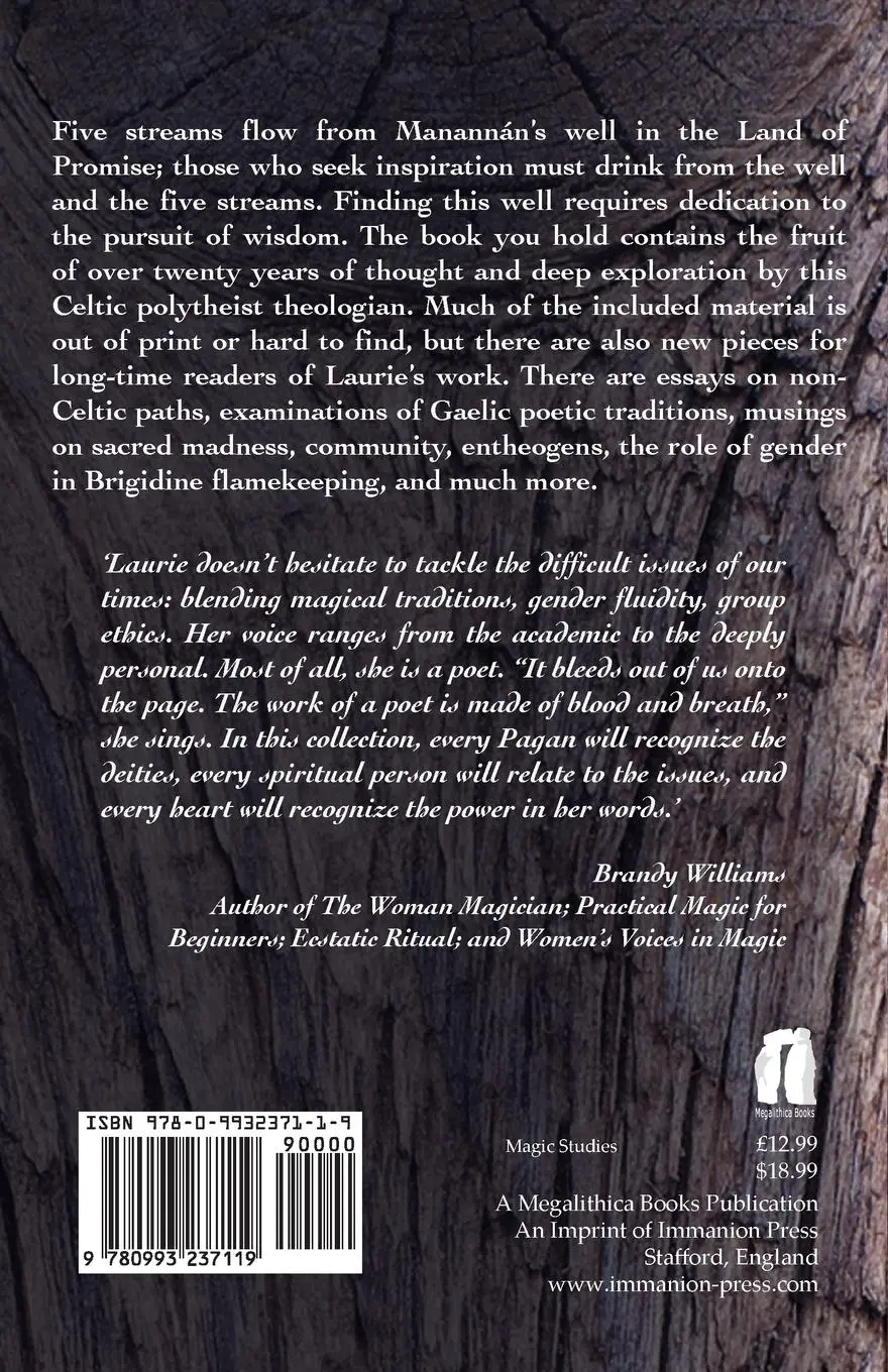 Rückseite: 9780993237119 | The Well of Five Streams | Erynn Rowan Laurie | Taschenbuch | Englisch