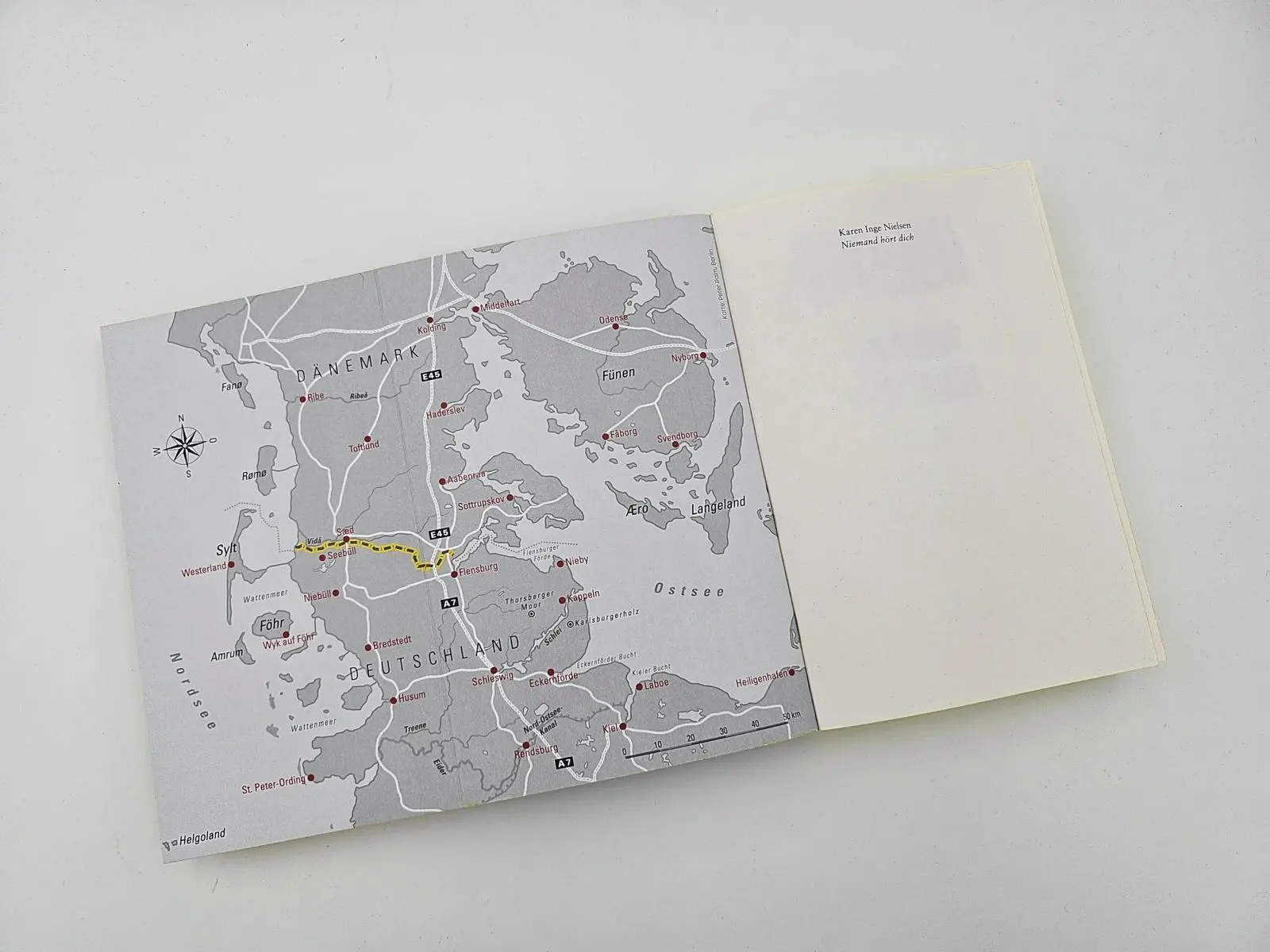 Bild: 9783492067119 | Niemand hört dich | Karen Inge Nielsen | Taschenbuch | Grenzland