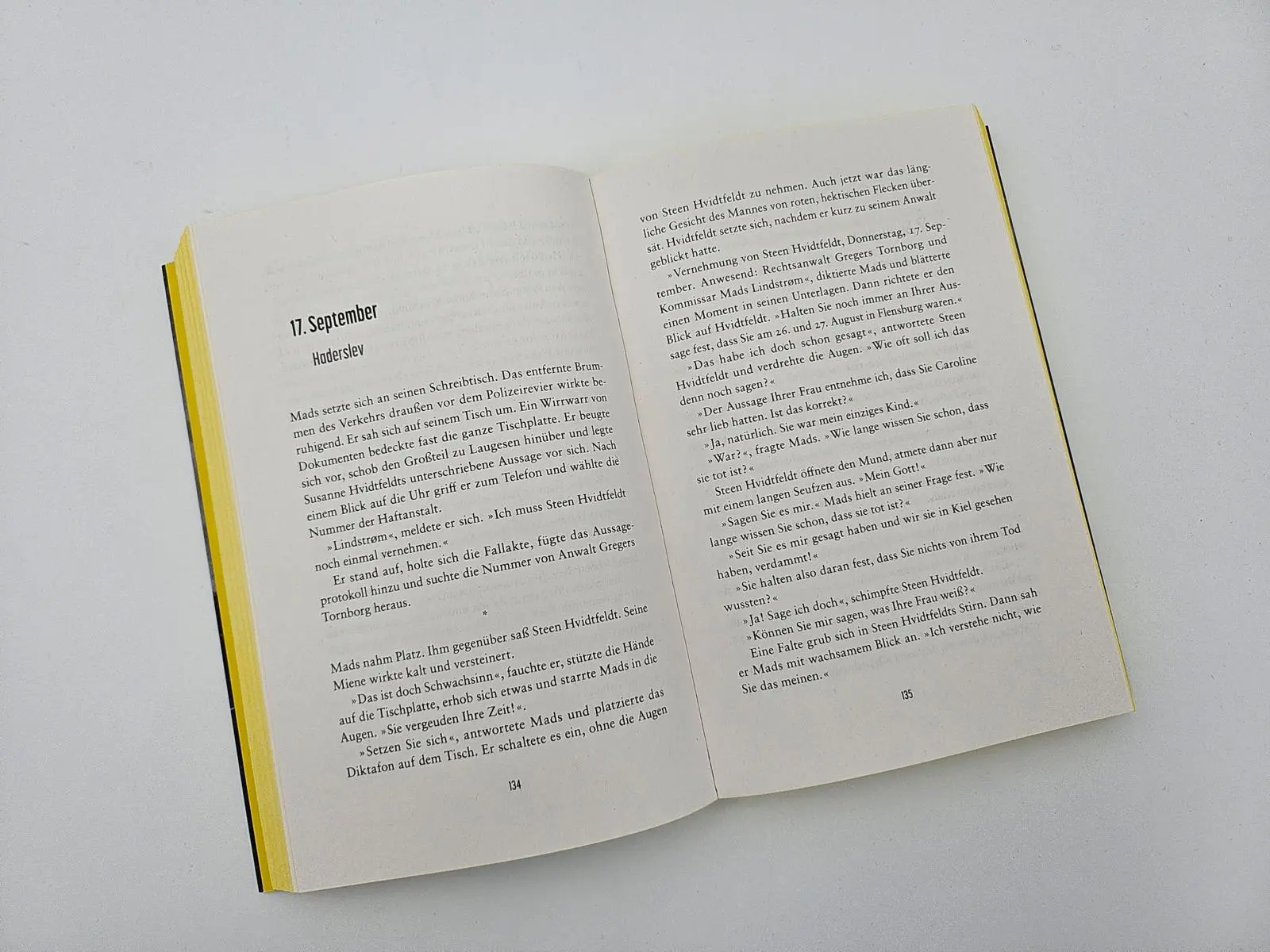 Bild: 9783492067119 | Niemand hört dich | Karen Inge Nielsen | Taschenbuch | Grenzland
