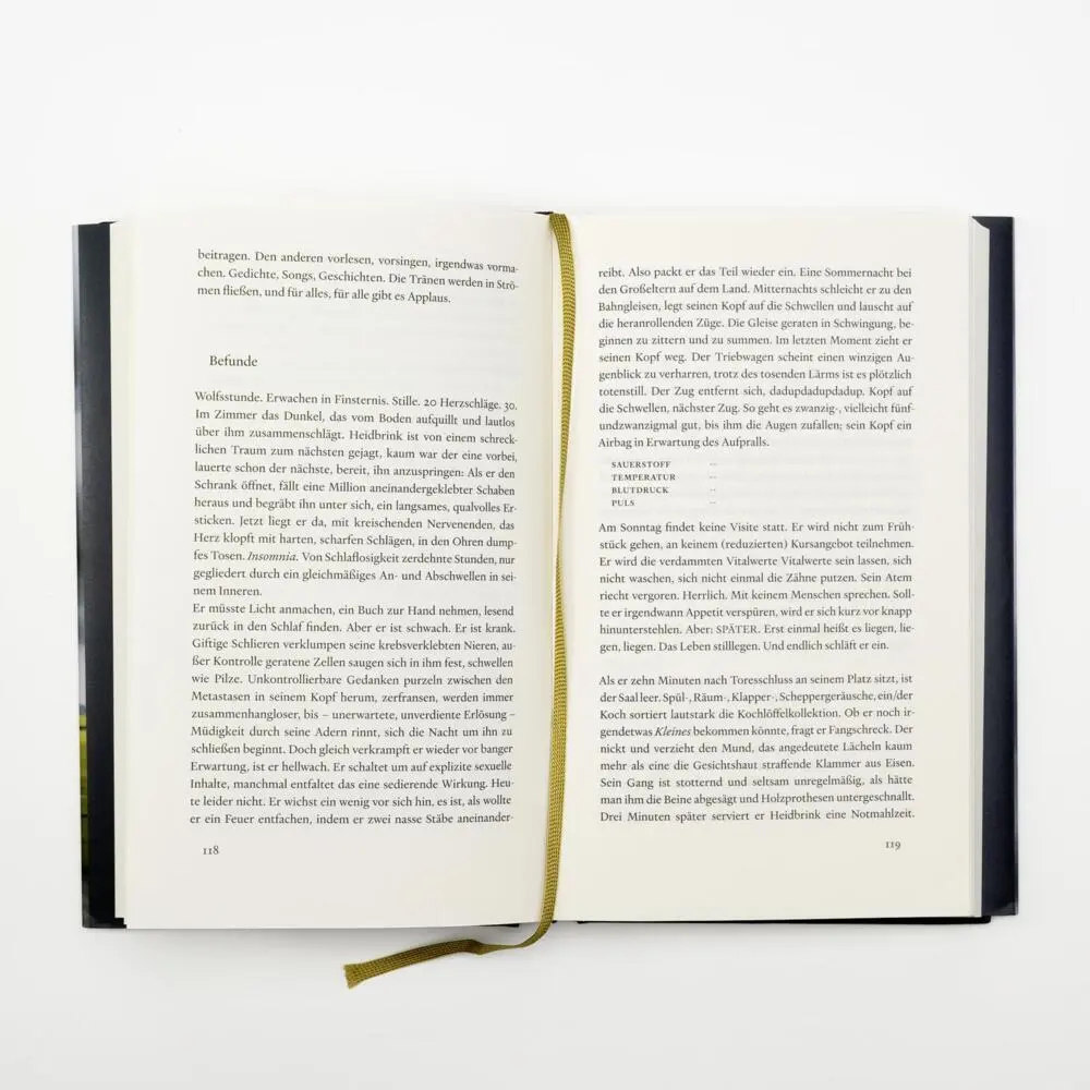 Bild: 9783498007119 | Zauberberg 2 | Heinz Strunk | Buch | 288 S. | Deutsch | 2024