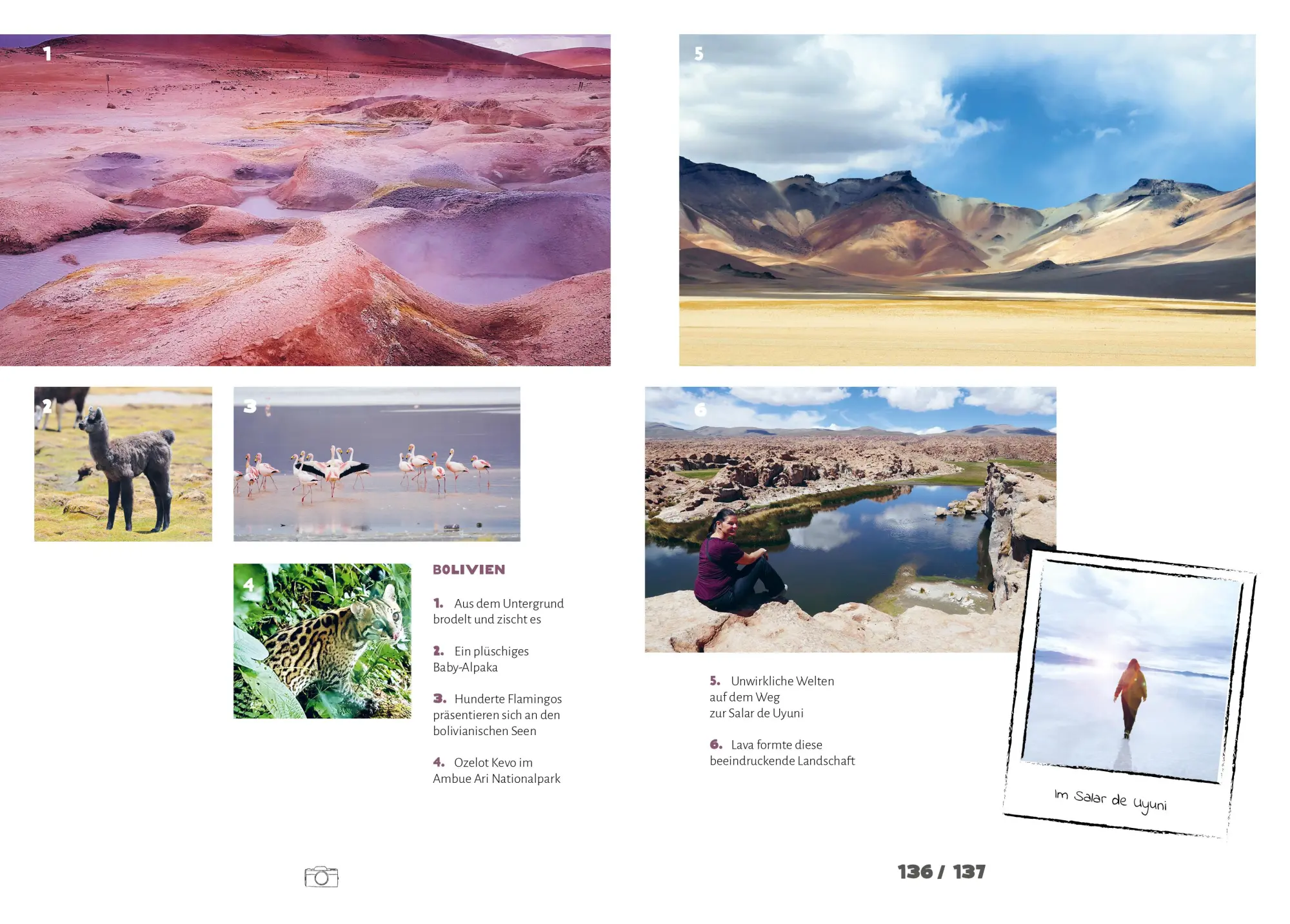 Bild: 9783830717119 | Midlife Reise | Tine Gschweng | Taschenbuch | 263 S. | Deutsch | 2024