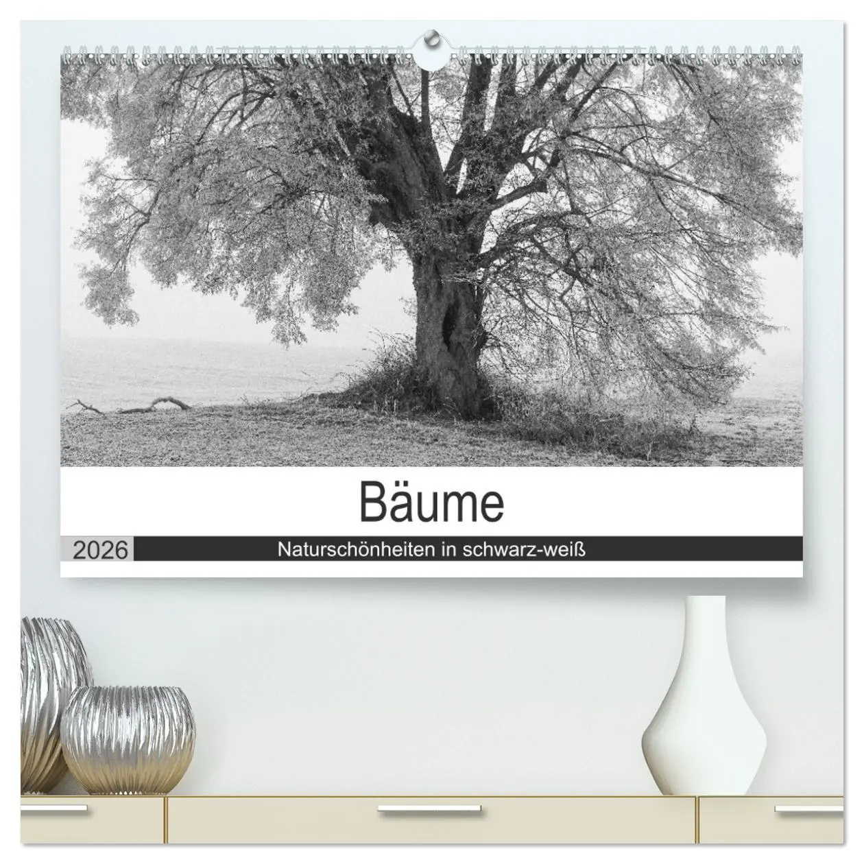 Cover: 9783516117219 | Bäume - Naturschönheiten in schwarz-weiß (hochwertiger Premium...