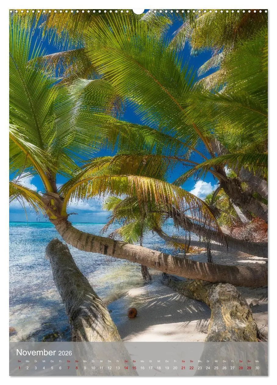 Bild: 9783516357219 | Karibischer Traum Isla Saona (hochwertiger Premium Wandkalender...