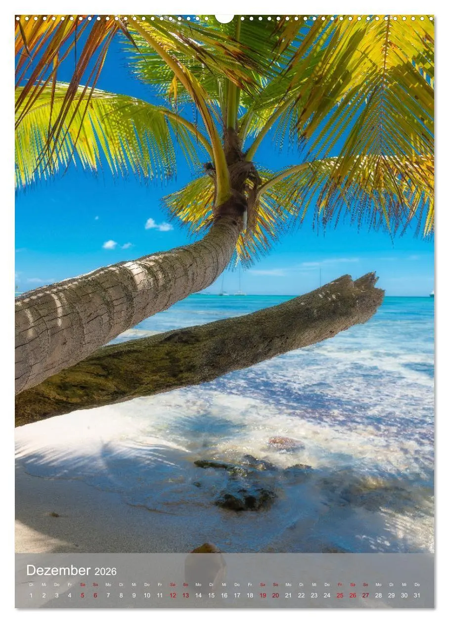 Bild: 9783516357219 | Karibischer Traum Isla Saona (hochwertiger Premium Wandkalender...