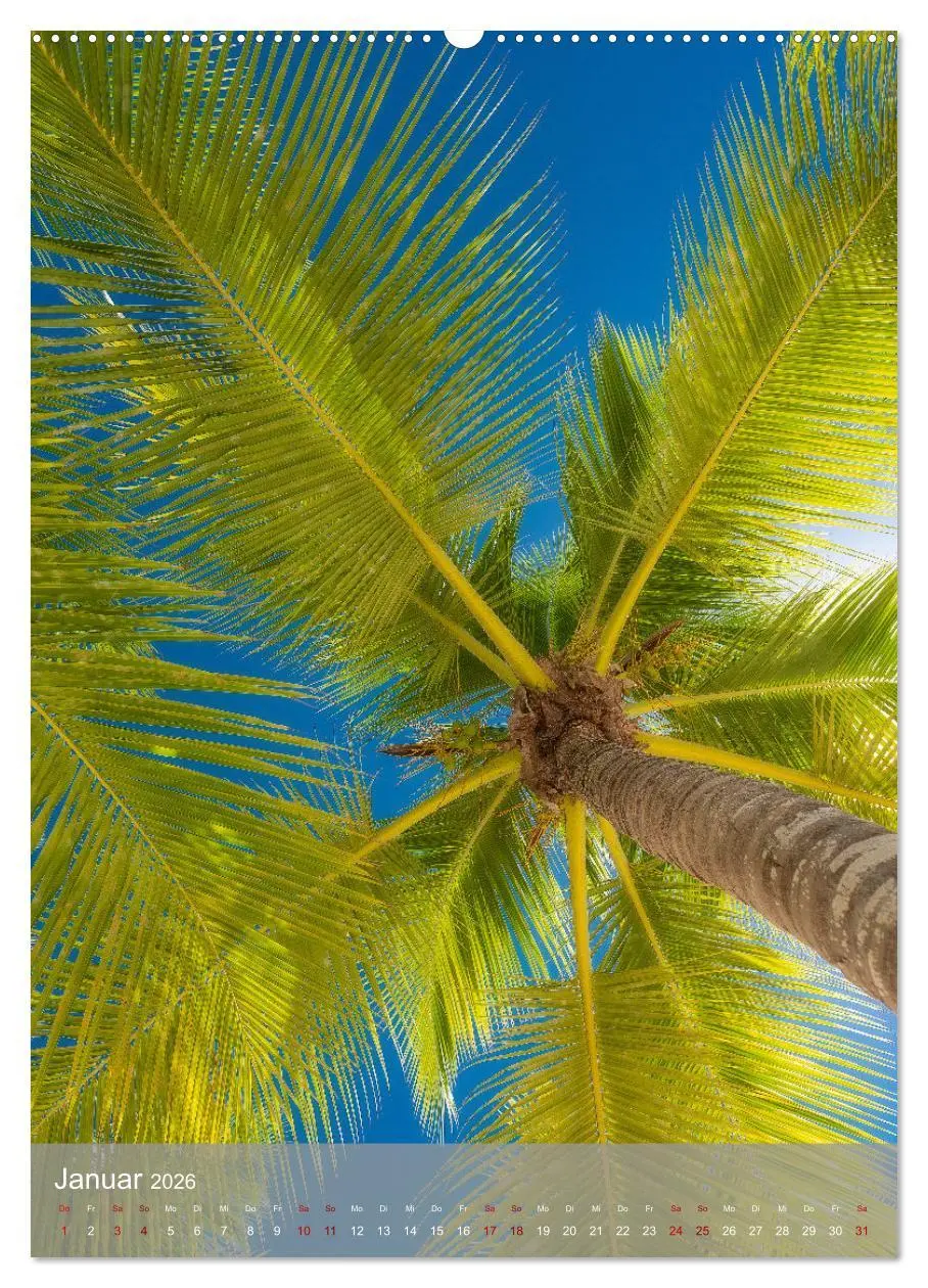 Bild: 9783516357219 | Karibischer Traum Isla Saona (hochwertiger Premium Wandkalender...