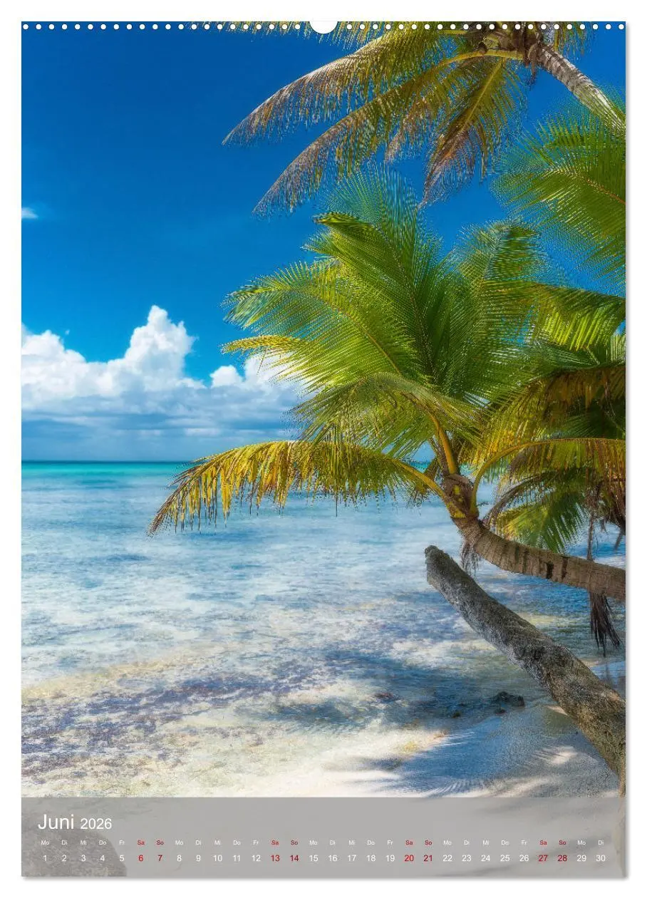 Bild: 9783516357219 | Karibischer Traum Isla Saona (hochwertiger Premium Wandkalender...