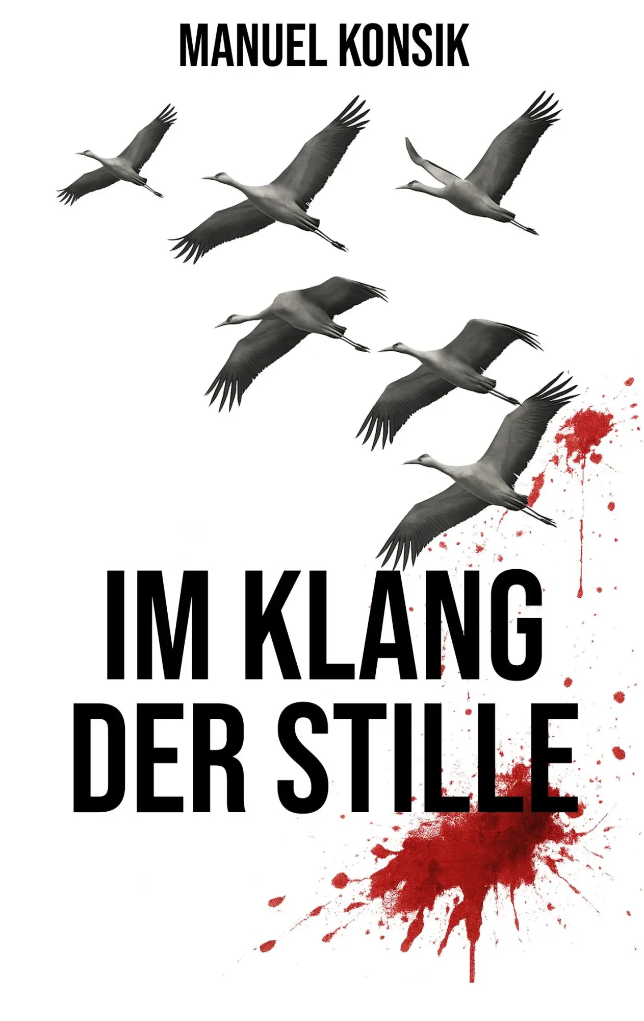 Cover: 9783819227219 | Im Klang der Stille | Manuel Konsik | Taschenbuch | 310 S. | Deutsch