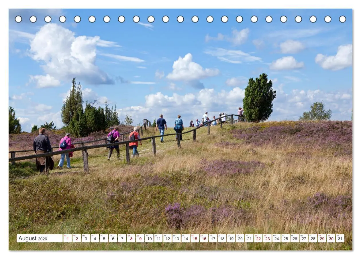 Bild: 9783457627419 | Die Lüneburger Heide - Ausflugsziel im Norden (Tischkalender 2026...