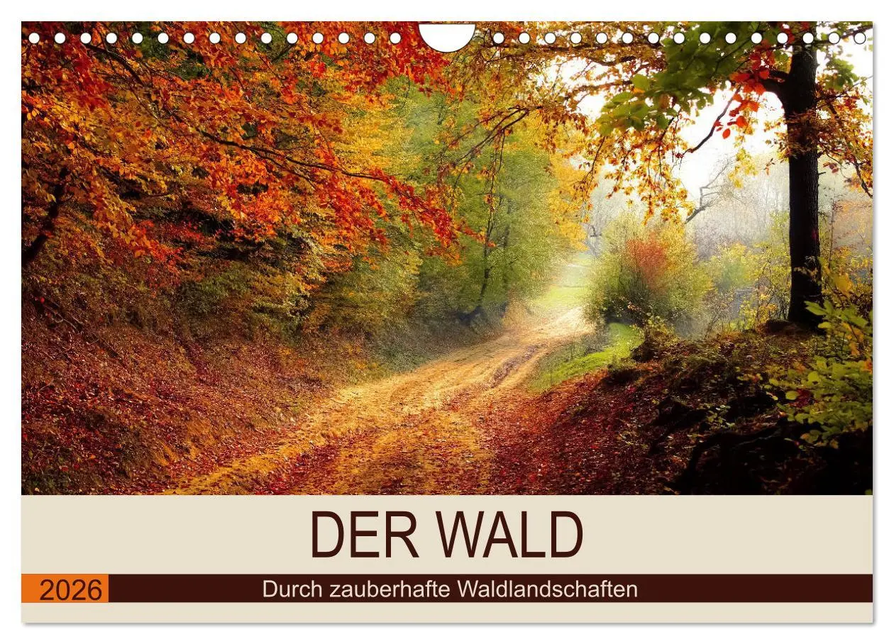 Cover: 9783457937419 | Der Wald. Durch zauberhafte Waldlandschaften (Wandkalender 2026 DIN...