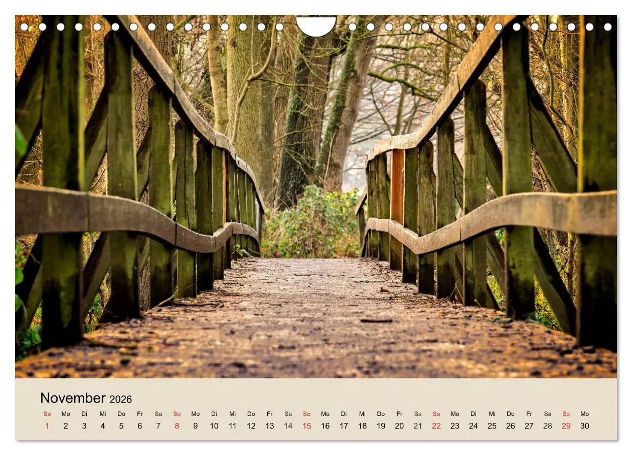 Bild: 9783457937419 | Der Wald. Durch zauberhafte Waldlandschaften (Wandkalender 2026 DIN...