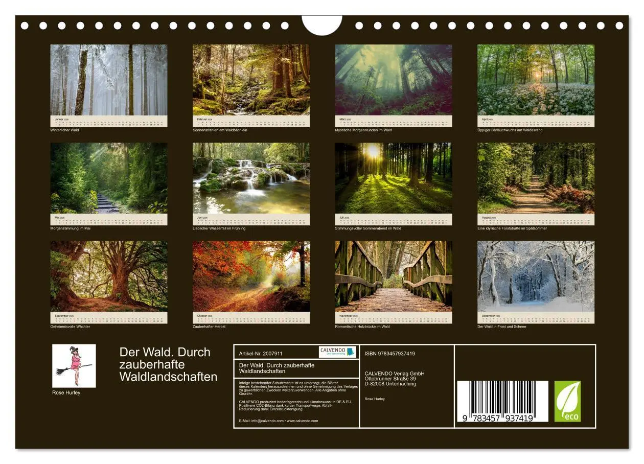 Bild: 9783457937419 | Der Wald. Durch zauberhafte Waldlandschaften (Wandkalender 2026 DIN...